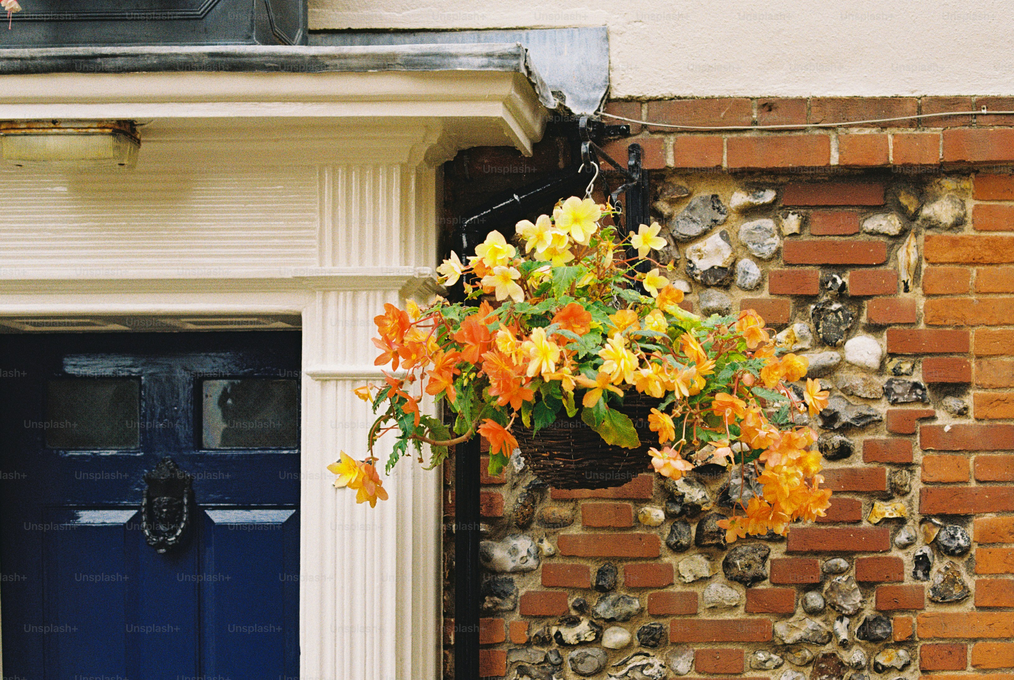 Hanging begonia basket on brick wall - Photo on Unsplash+