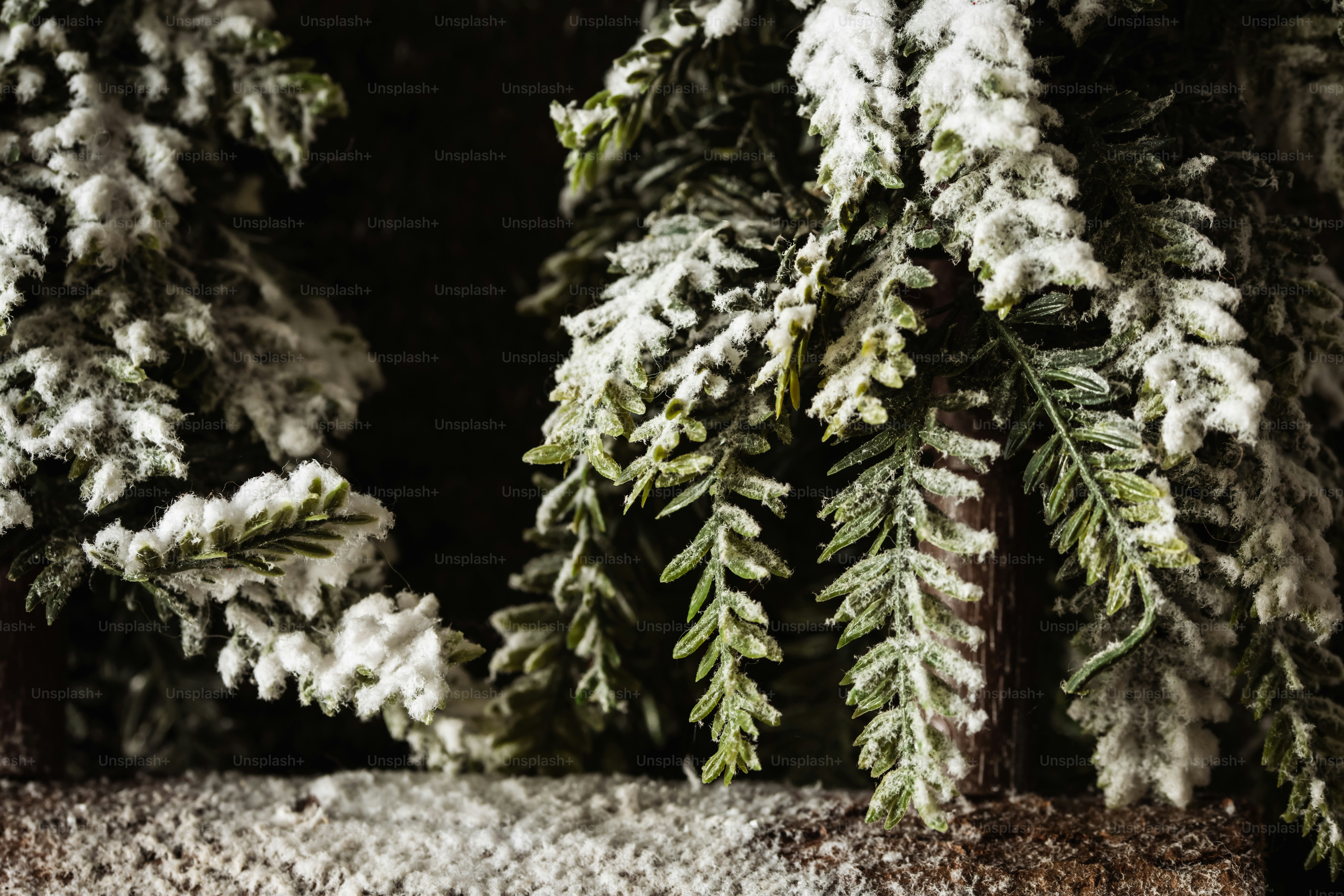 Snow-covered evergreen branches hanging over a textured wooden surface in a dark setting