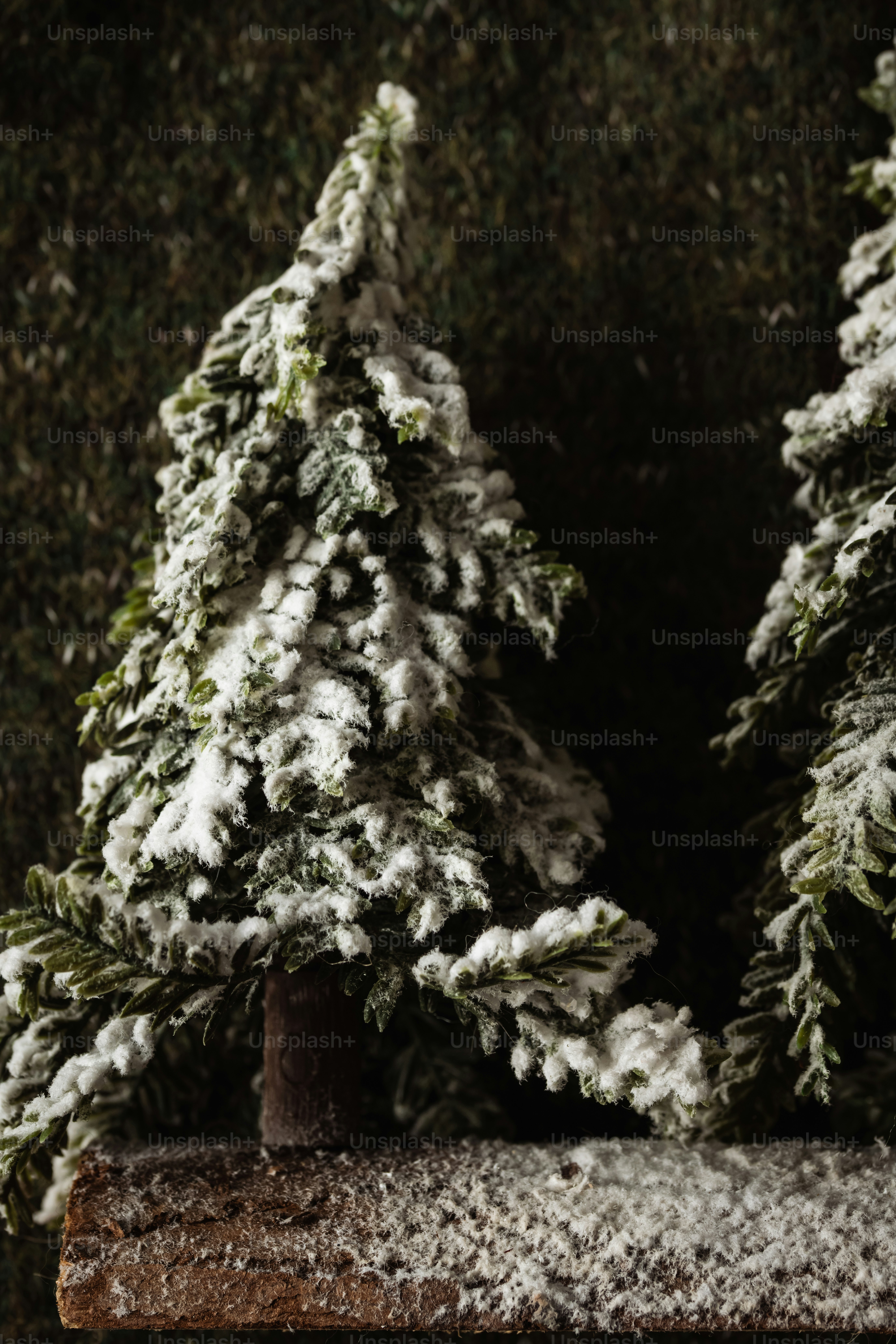 Two miniature pine trees covered in artificial snow on a wooden base