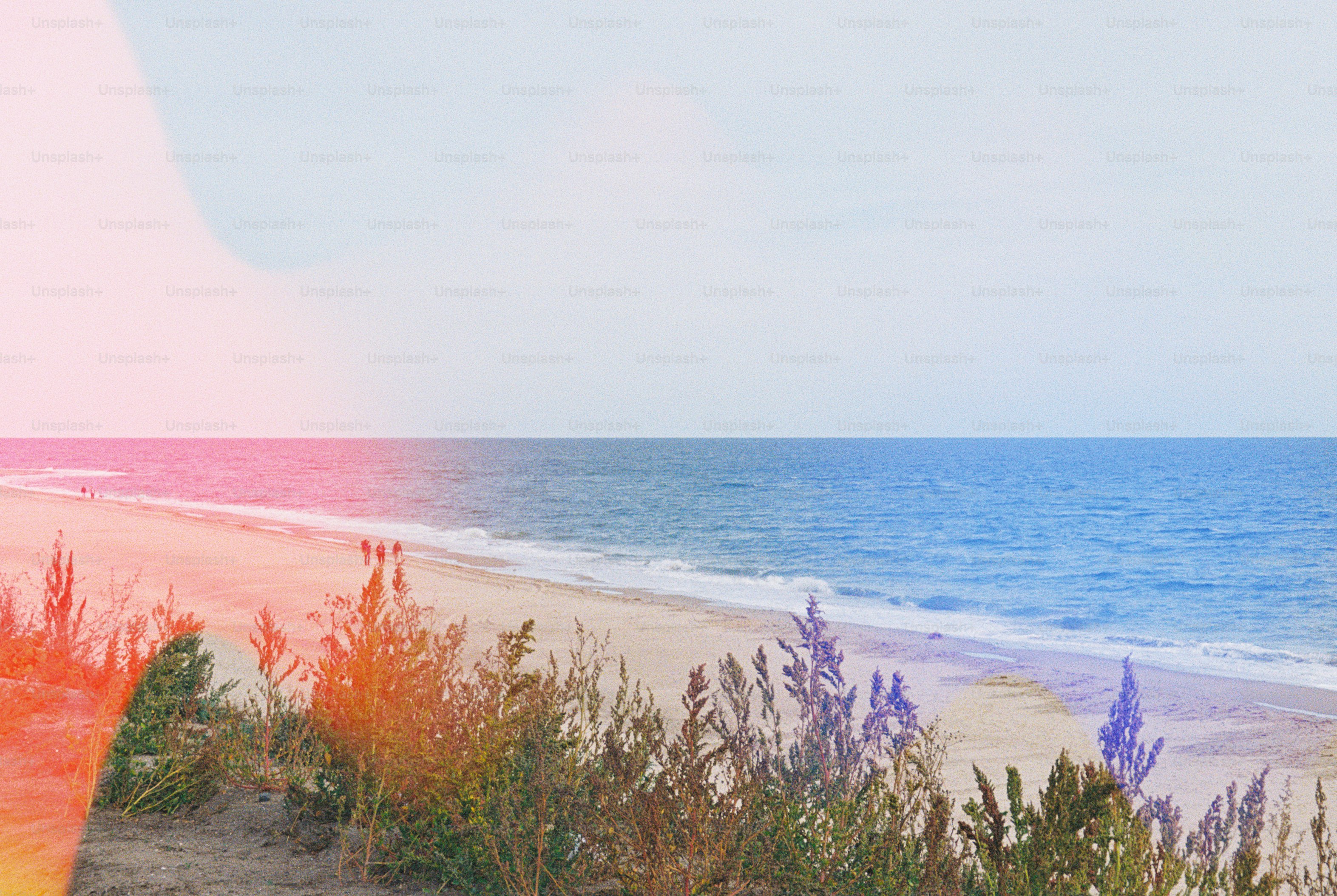 A sandy beach with sparse vegetation under a pale sky with light leaks