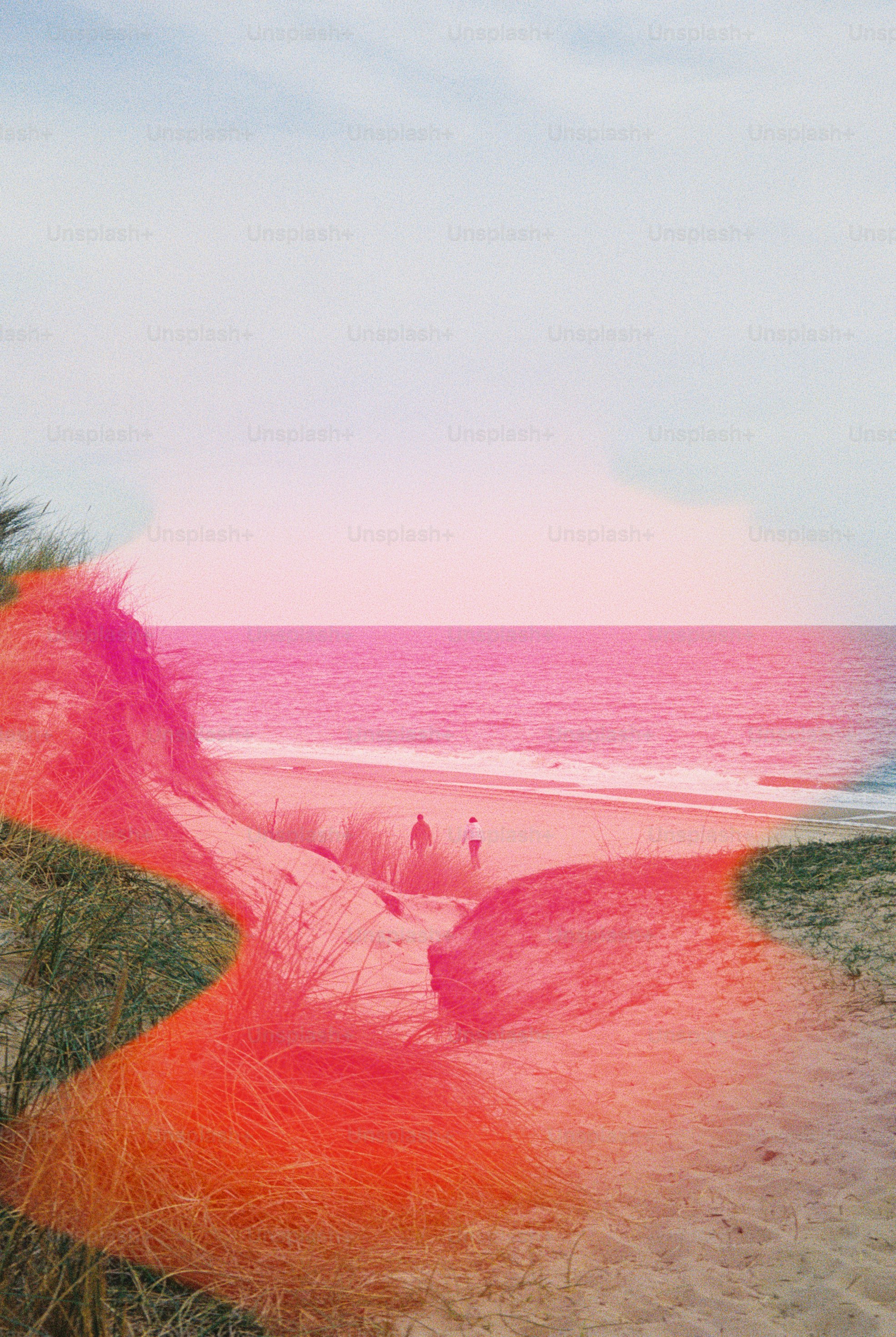 Two people walking on a sandy beach with pink light leaks over dunes