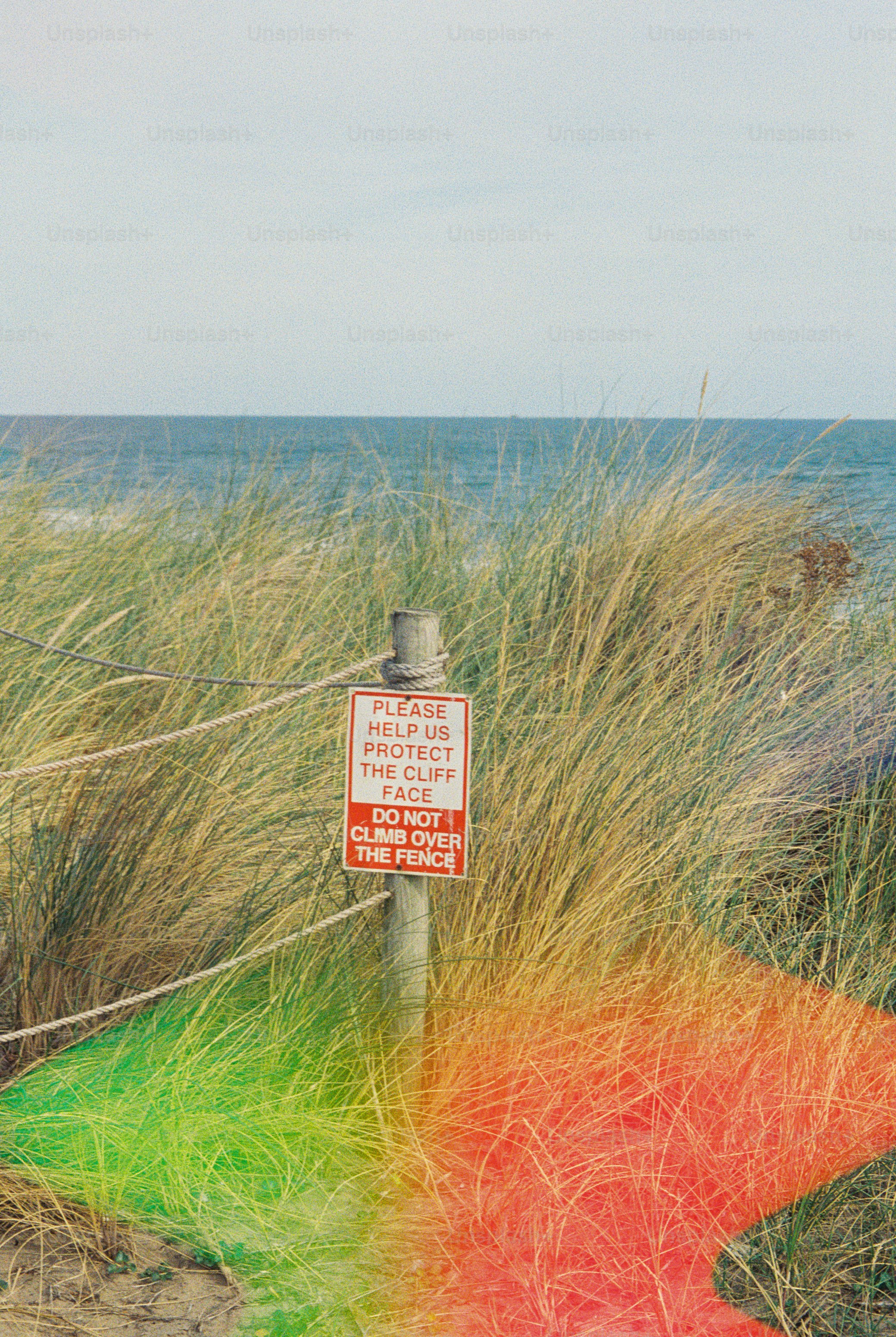 A warning sign on a wooden post amidst tall beach grass with the ocean in the background