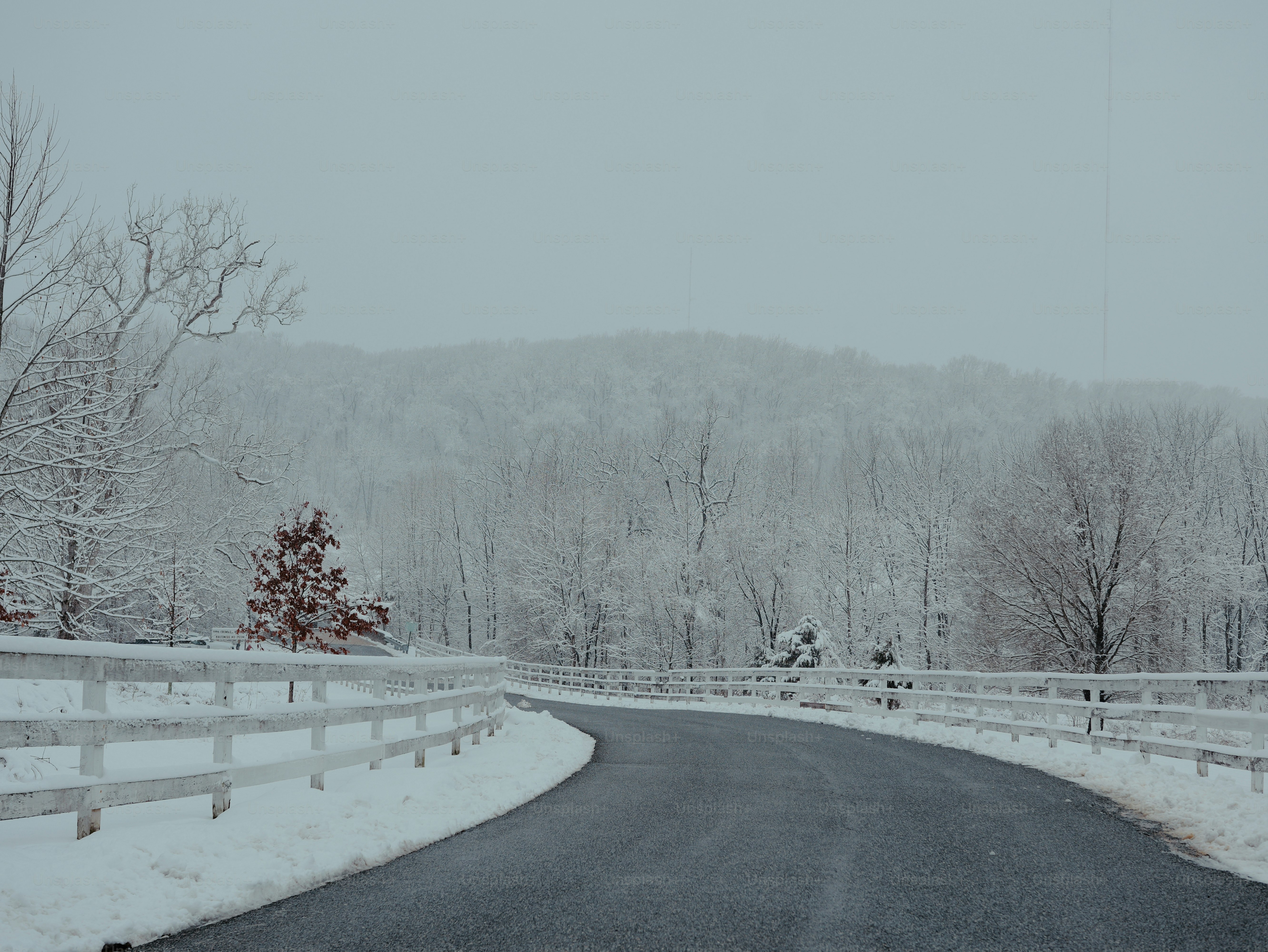 A quiet road curving through a snow-covered landscape with white wooden fences and bare winter trees