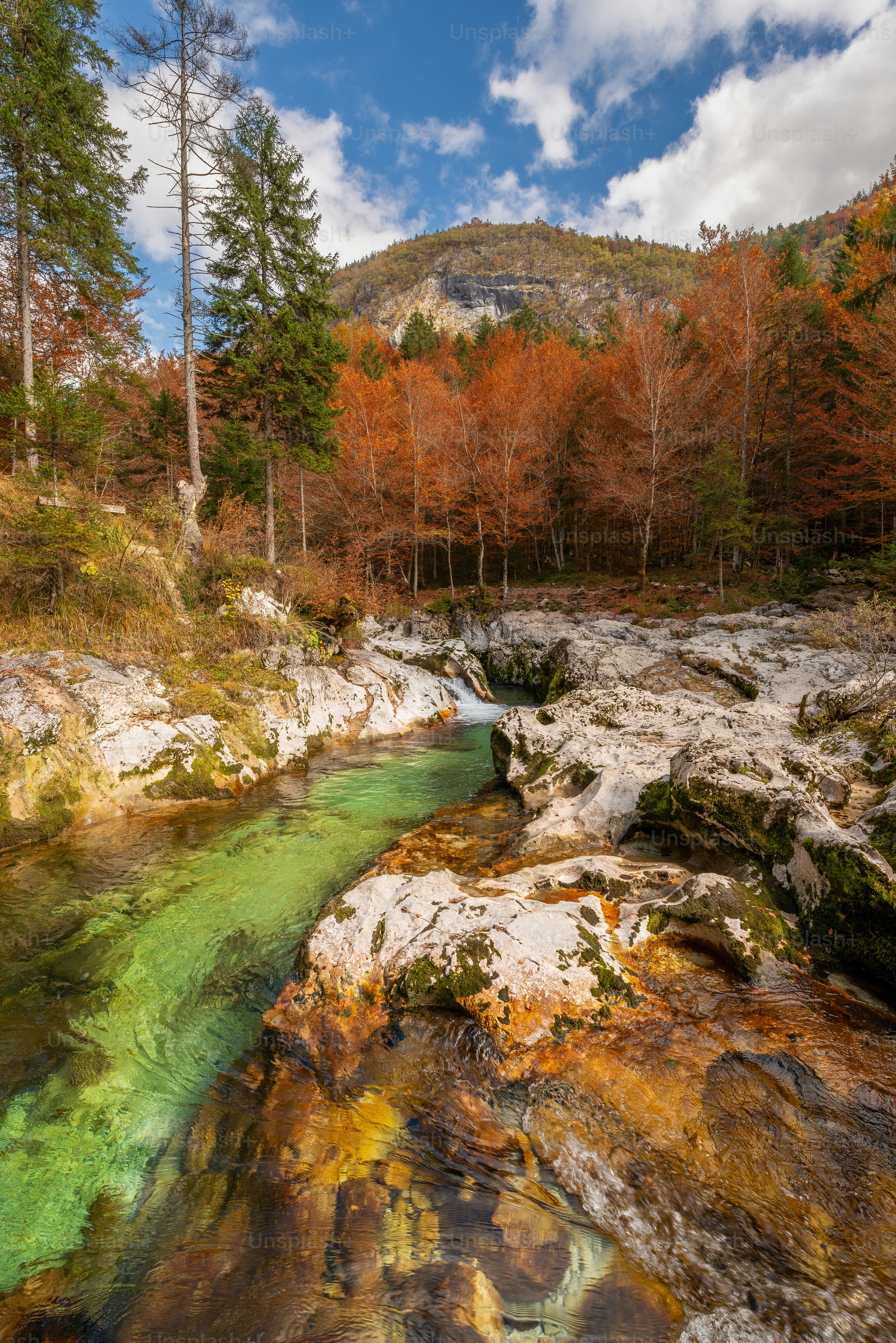 Turquoise stream in Korita Mostnice gorge - Photo on Unsplash+