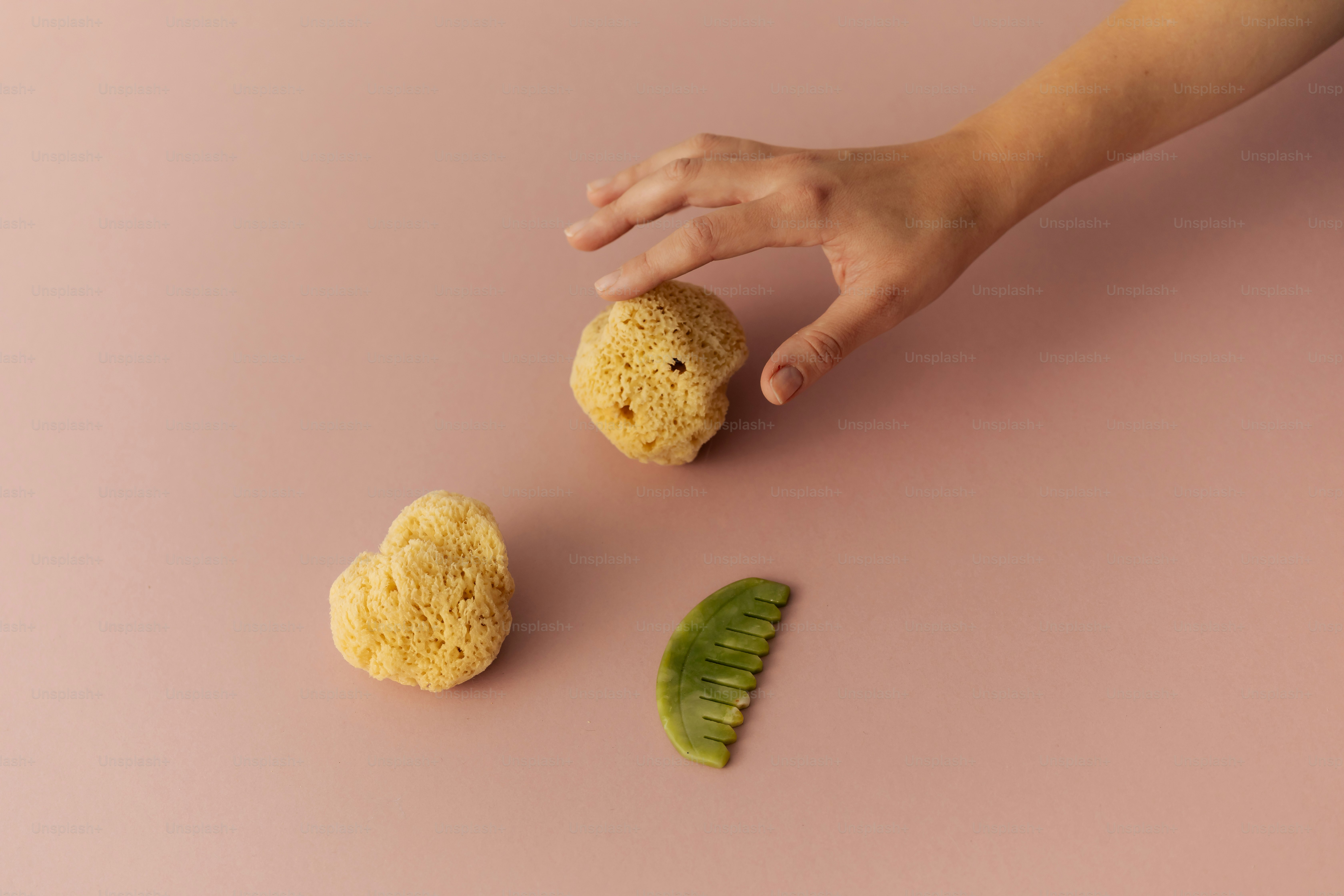 Hand reaching for natural sea sponge - Photo on Unsplash+