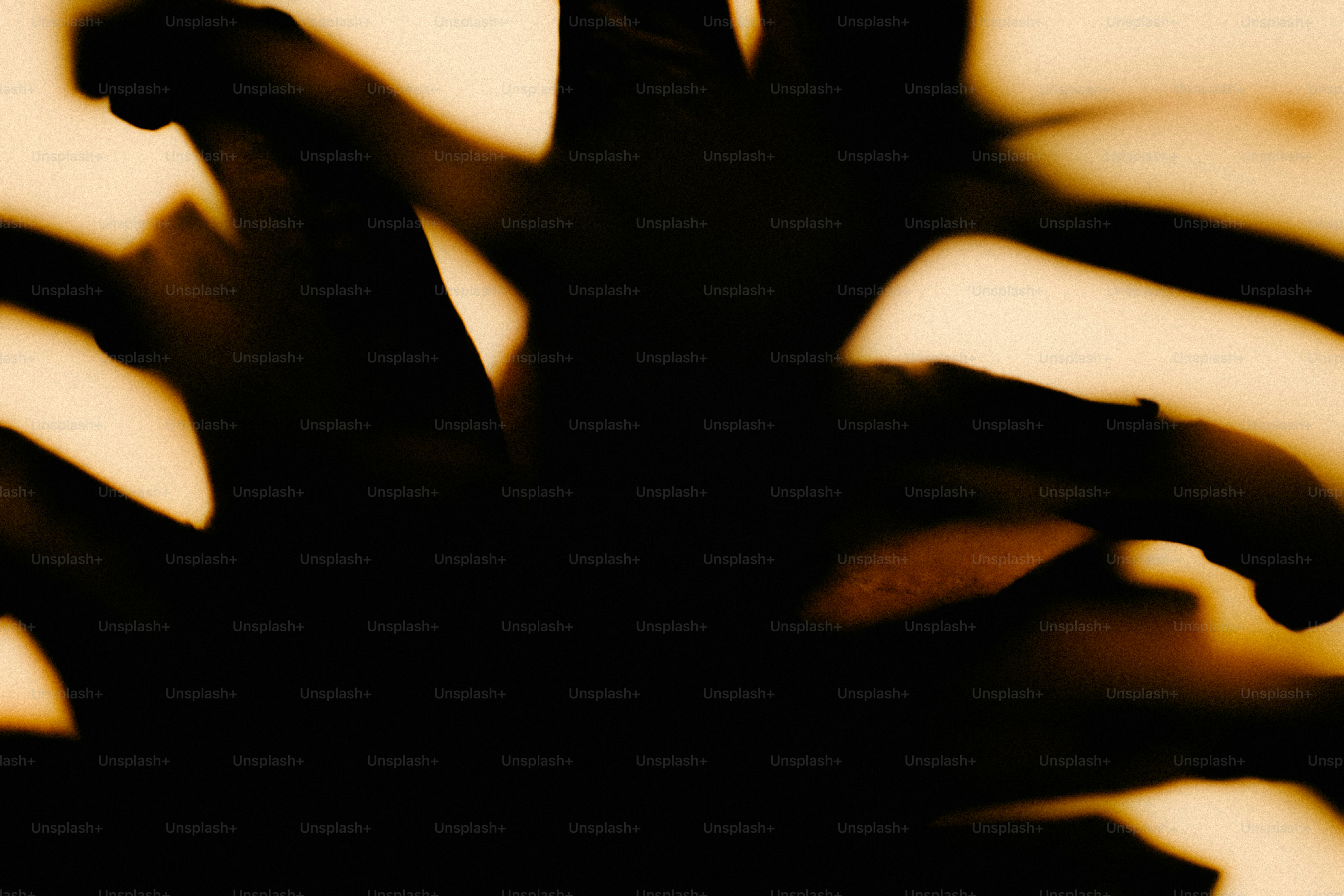 Dark spiky abstract shape - Photo on Unsplash+