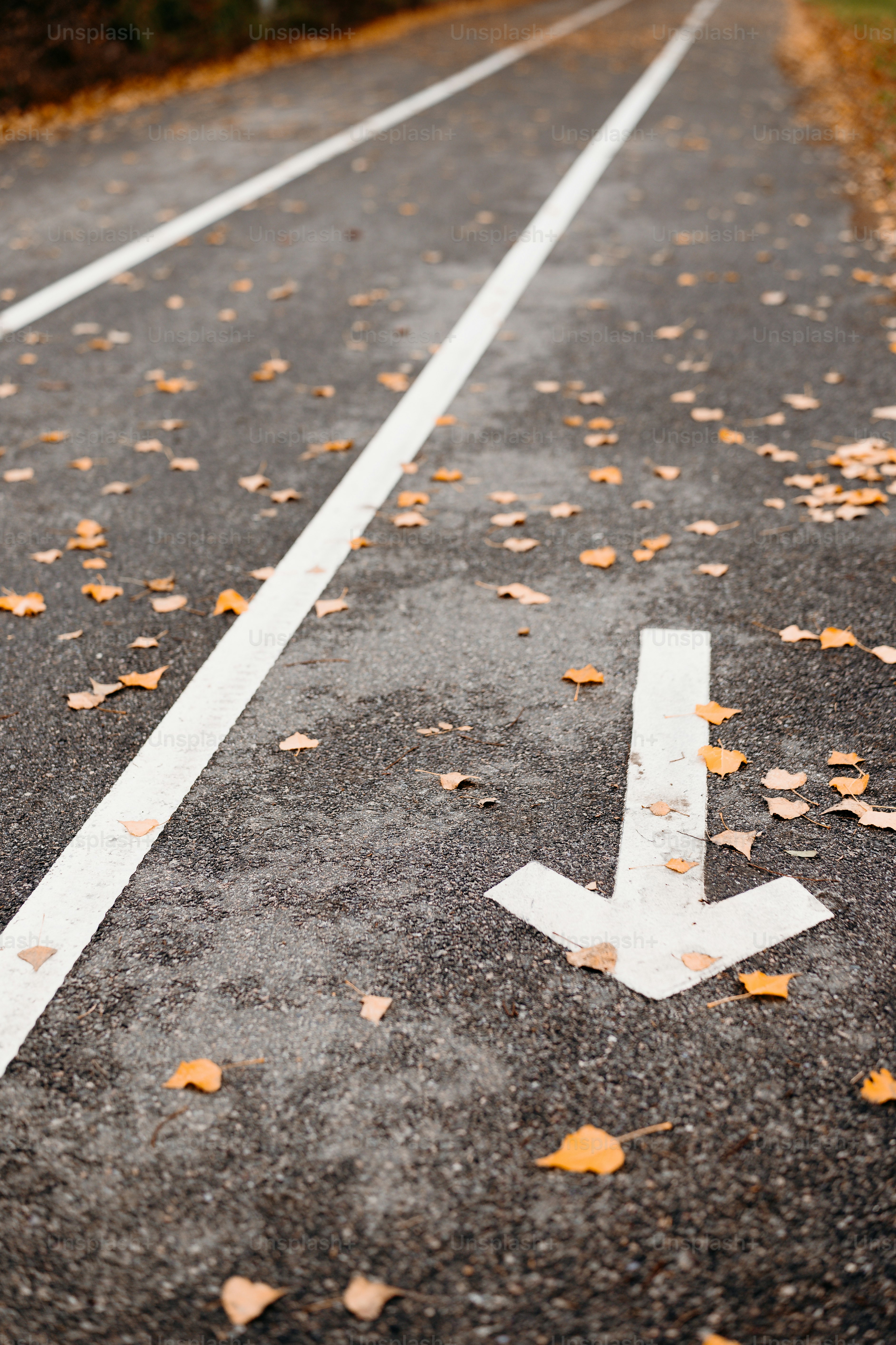 White arrow on autumn asphalt - Photo on Unsplash+