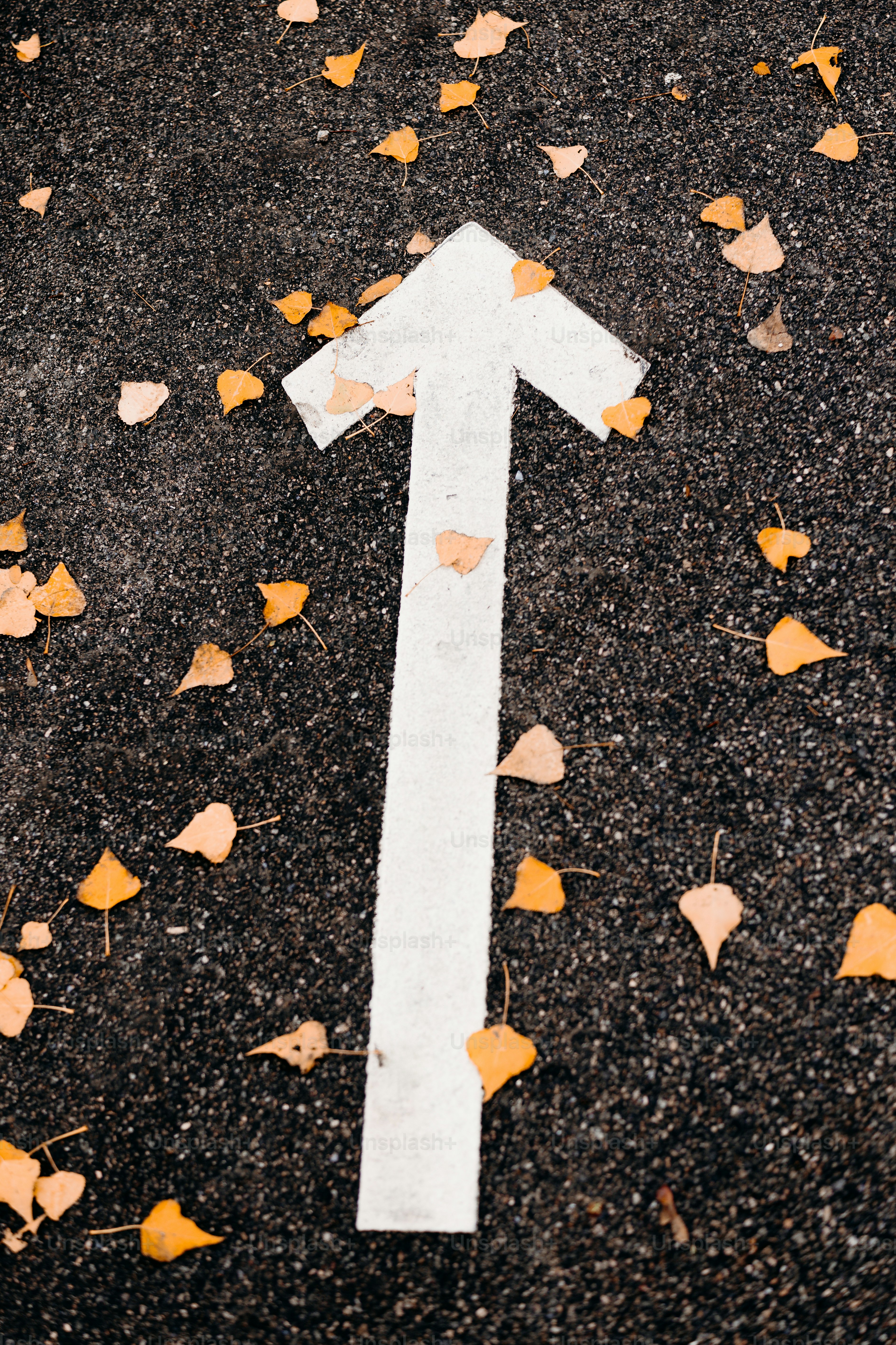 Directional arrows on asphalt road - Photo on Unsplash+