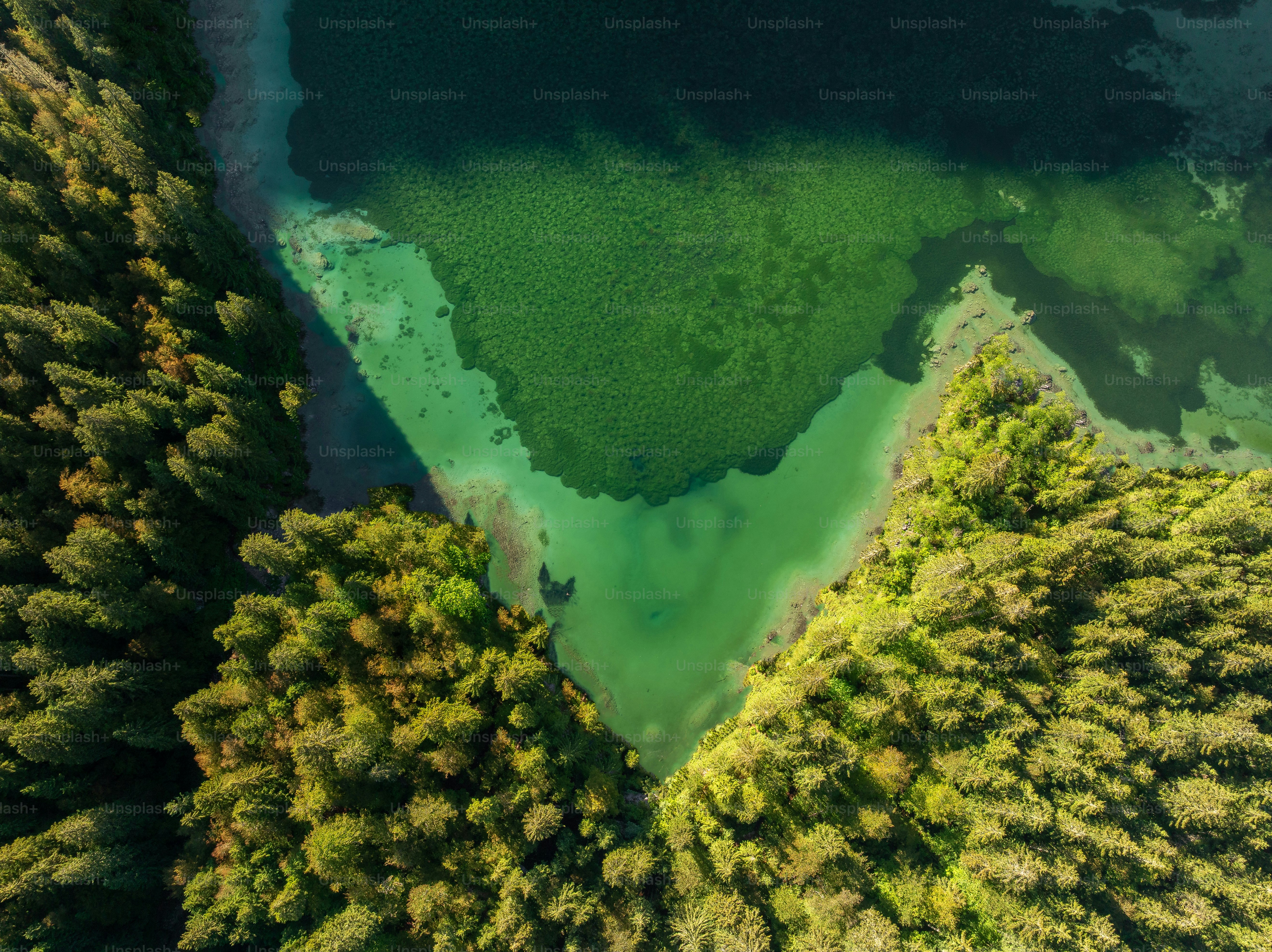 Lake Fusine aerial view with forest - Photo on Unsplash+