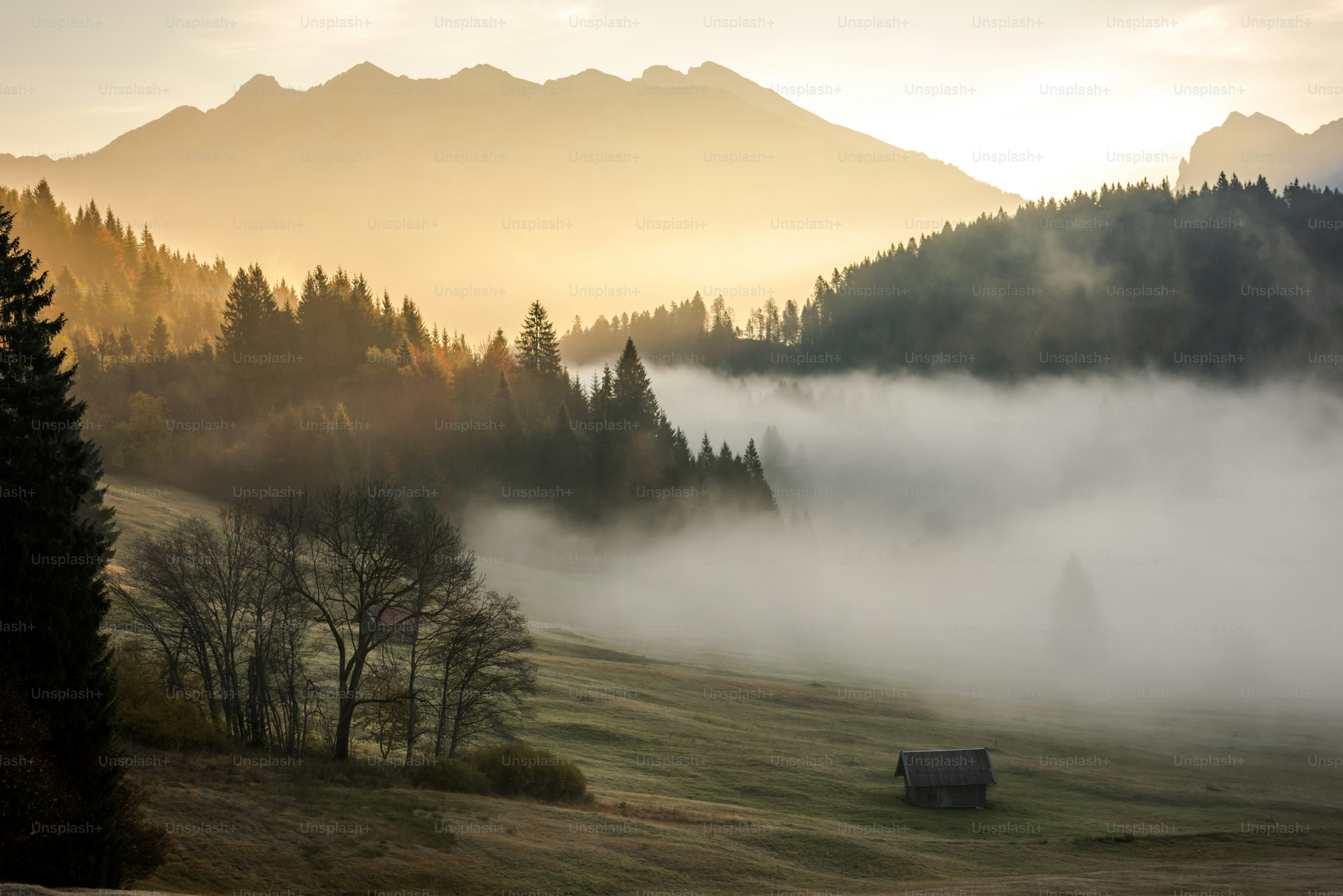 Wooden huts in Garmisch-Partenkirchen meadow - Photo on Unsplash+