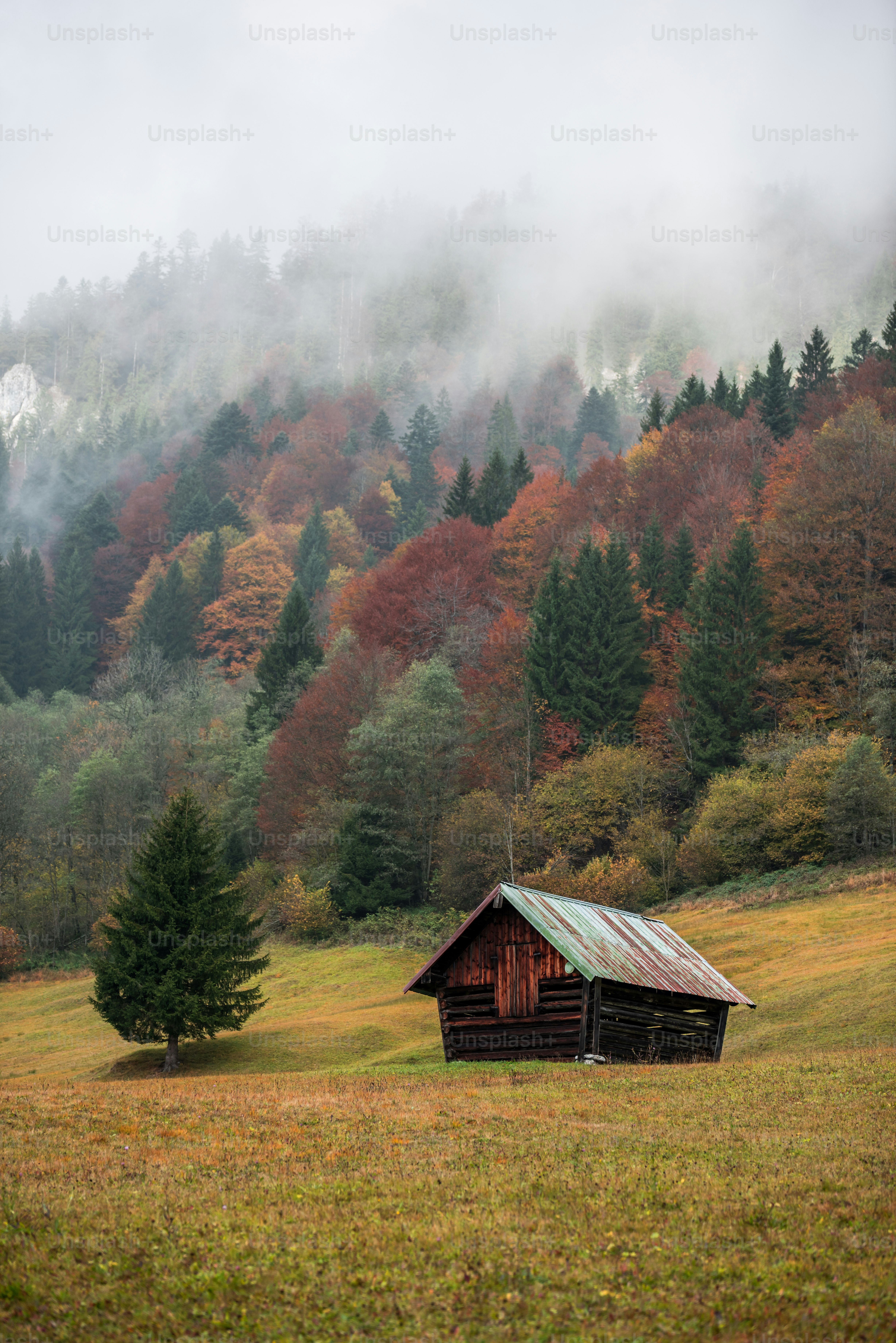 Wooden hut in misty Garmisch-Partenkirchen meadow - Photo on Unsplash+
