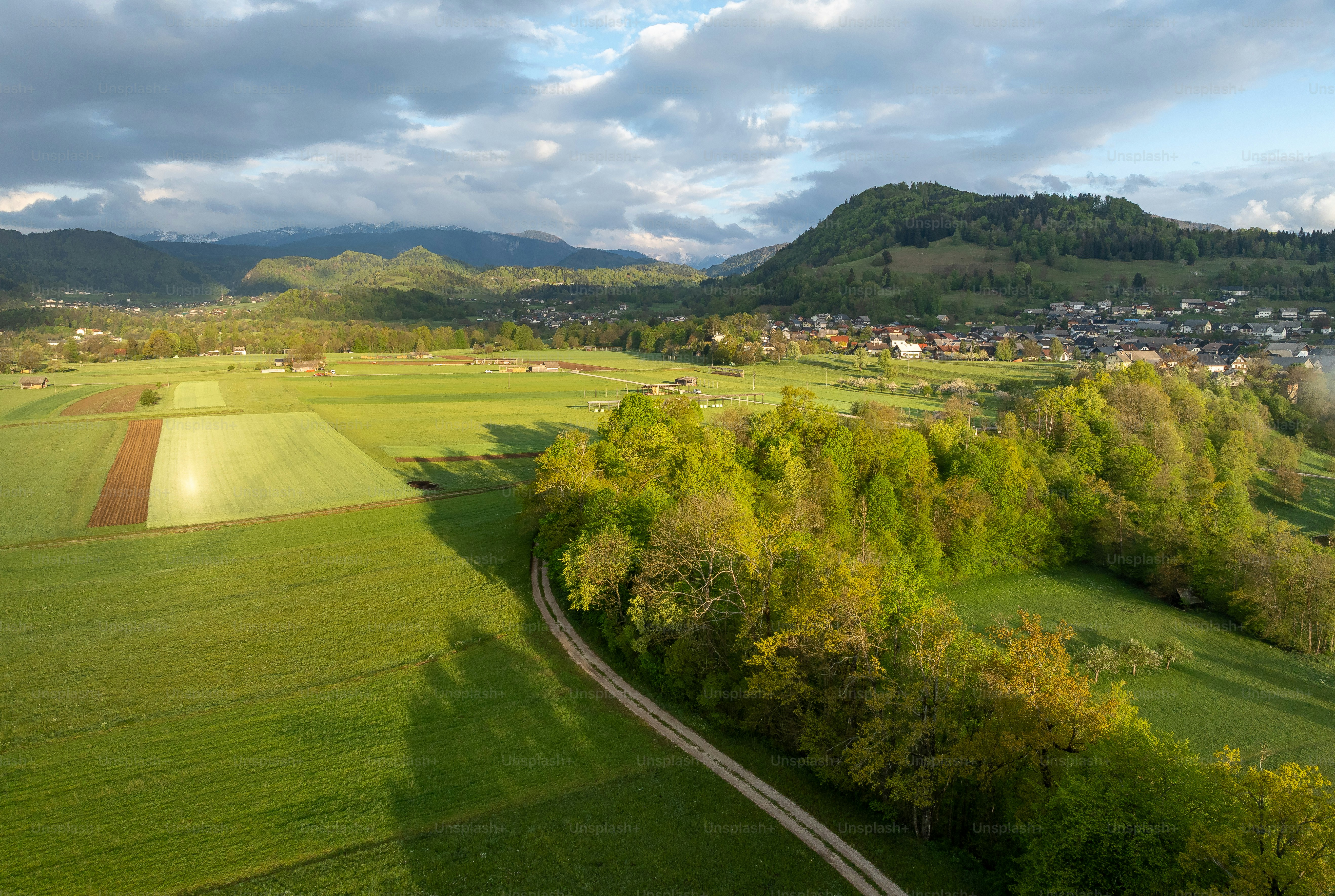 Flowering trees in meadow near Bled - Photo on Unsplash+