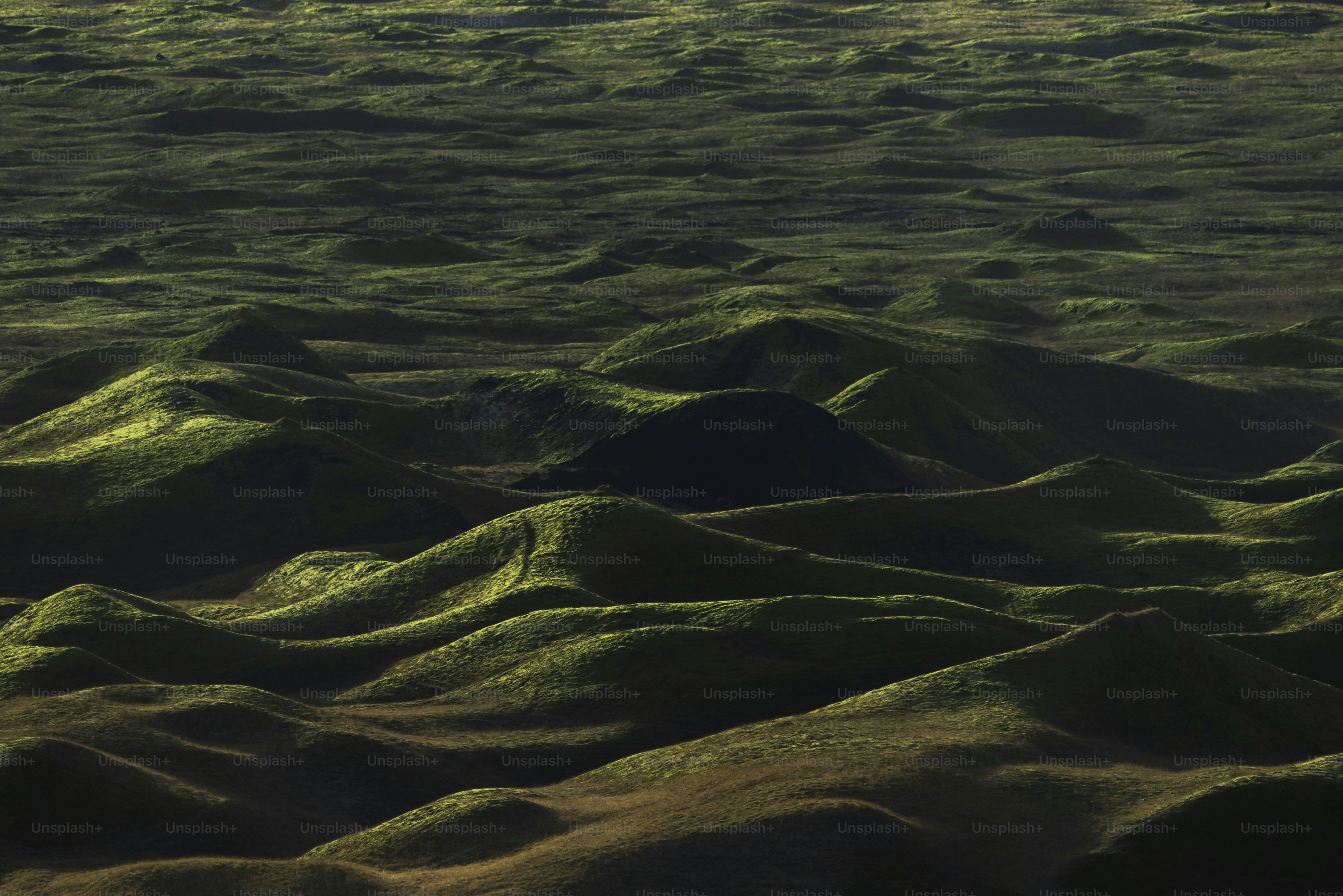 Mossy hills in Skútustaðir - Photo on Unsplash+