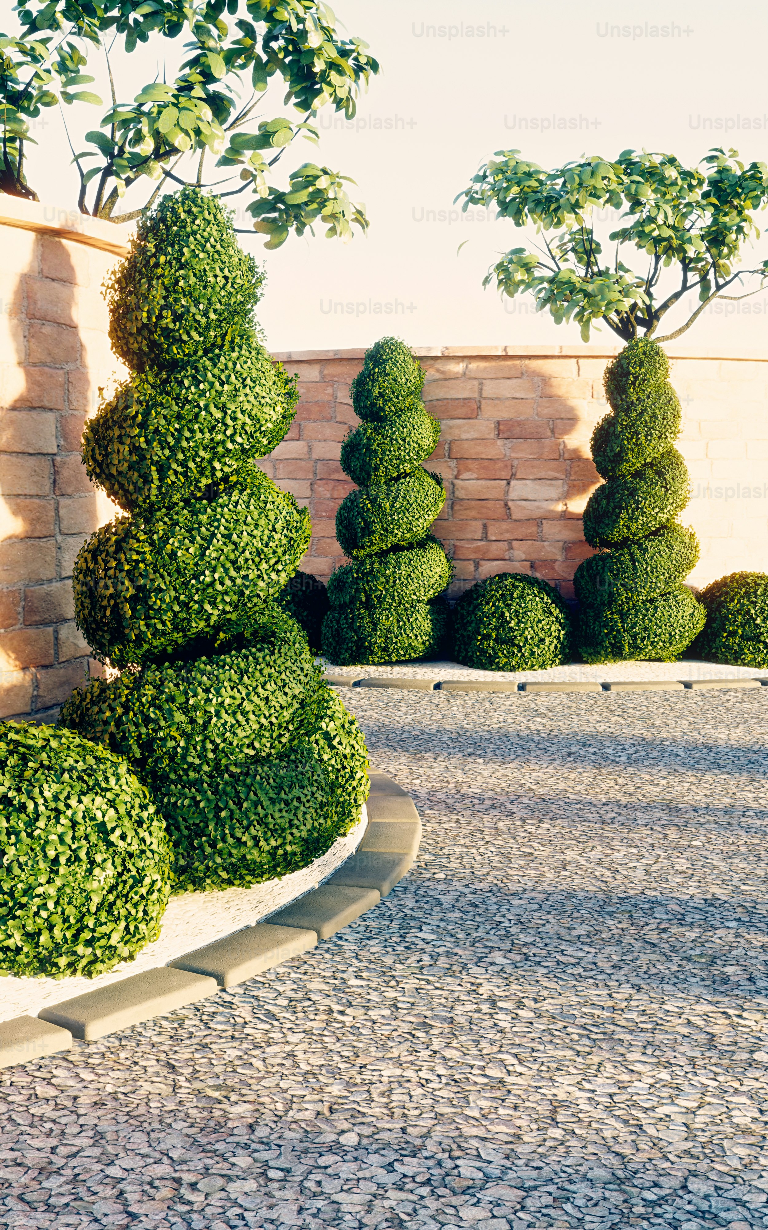 Un render 3D de árboles topiarios en espiral en un jardín iluminado por el sol con un muro de ladrillo