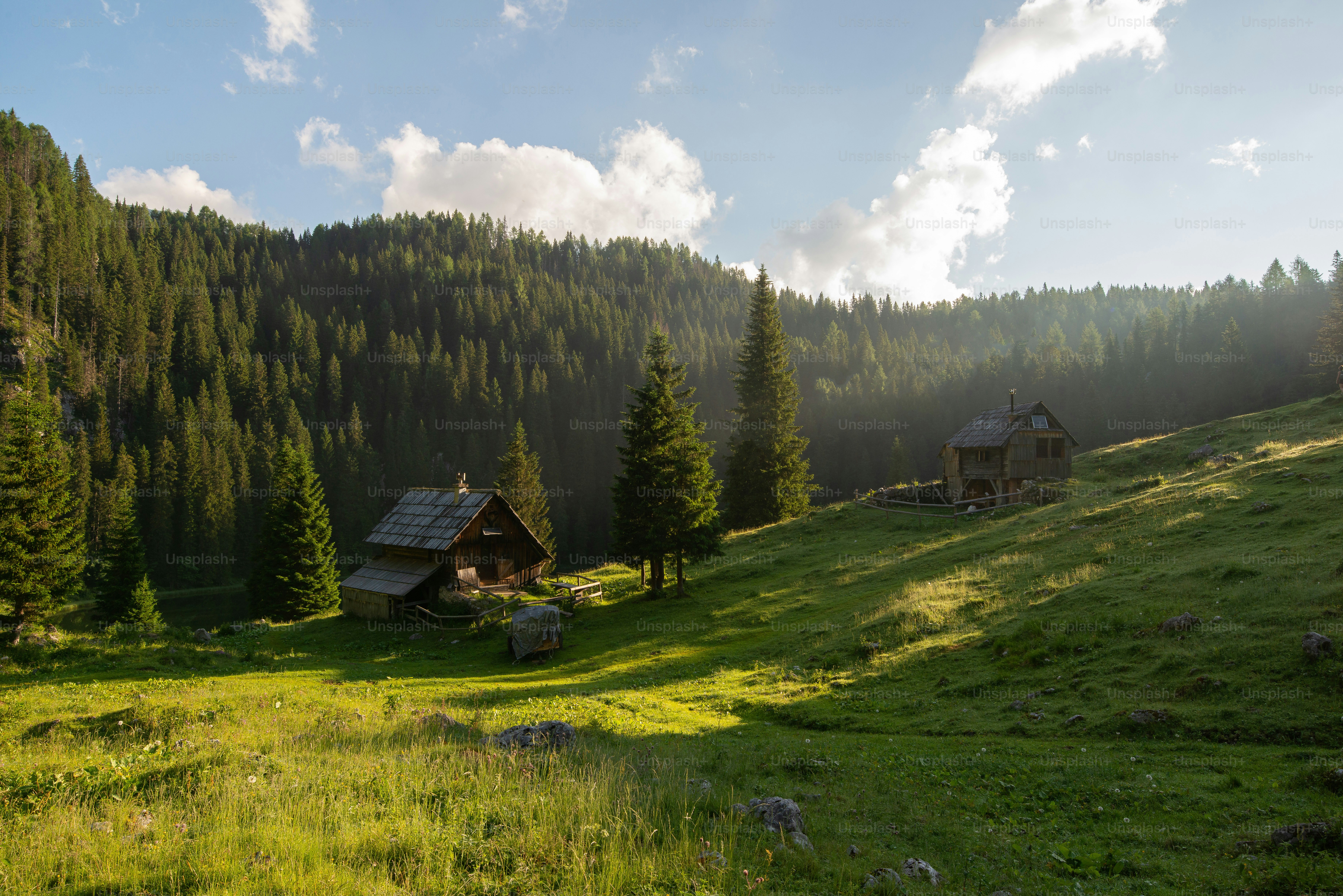 Dirt trail in Triglav National Park - Photo on Unsplash+