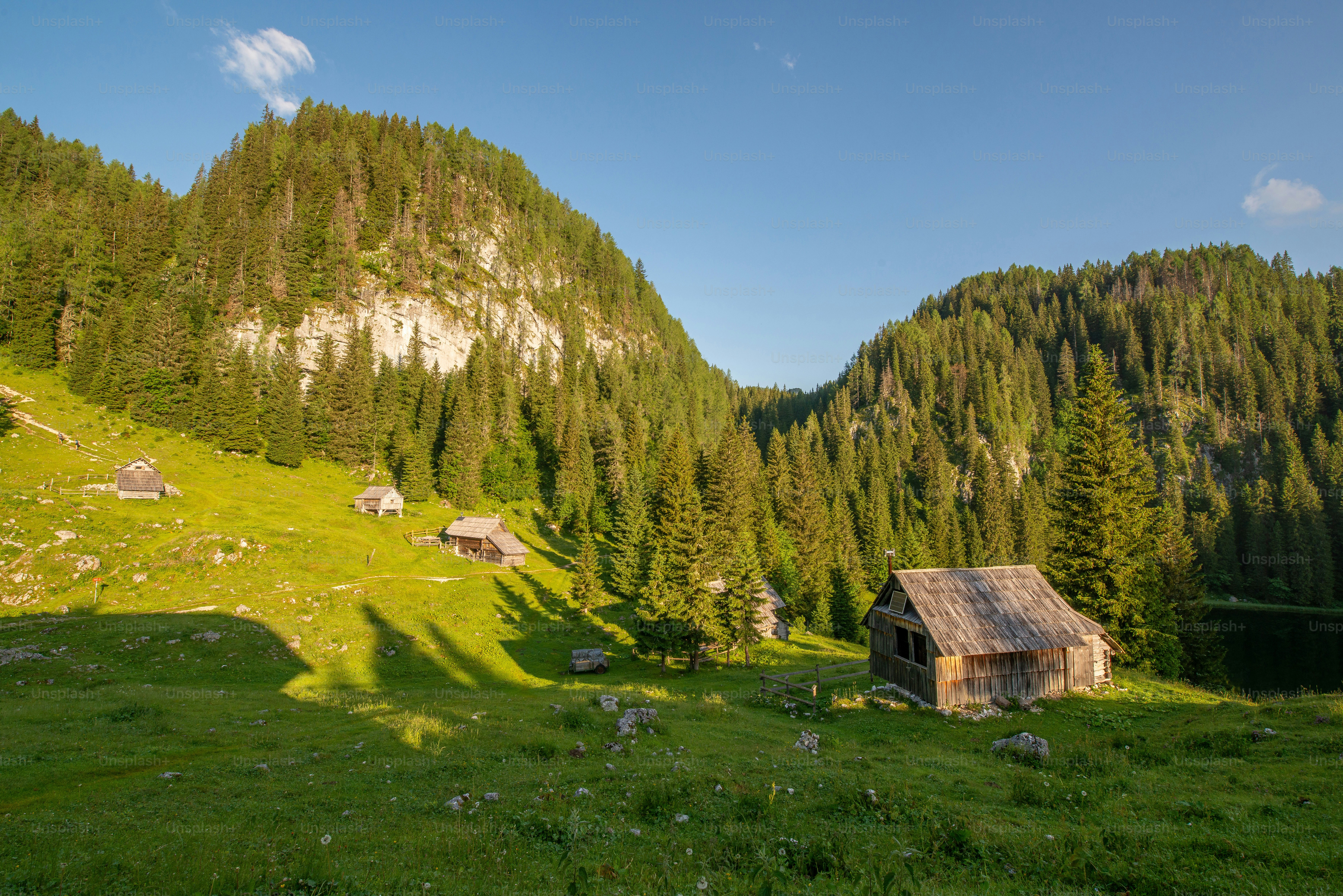 Dirt trail in Triglav National Park - Photo on Unsplash+