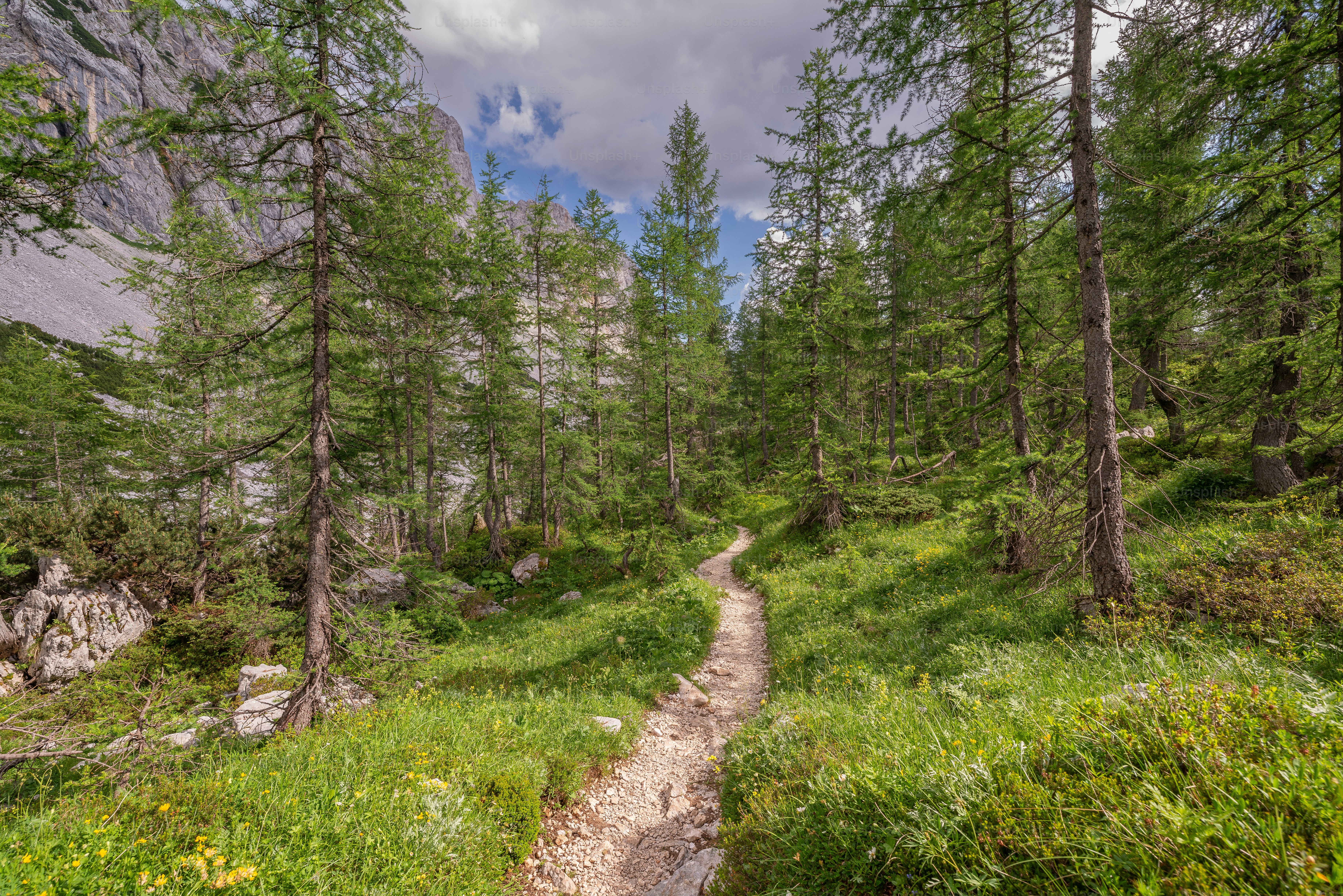 Dirt trail in Triglav National Park - Photo on Unsplash+
