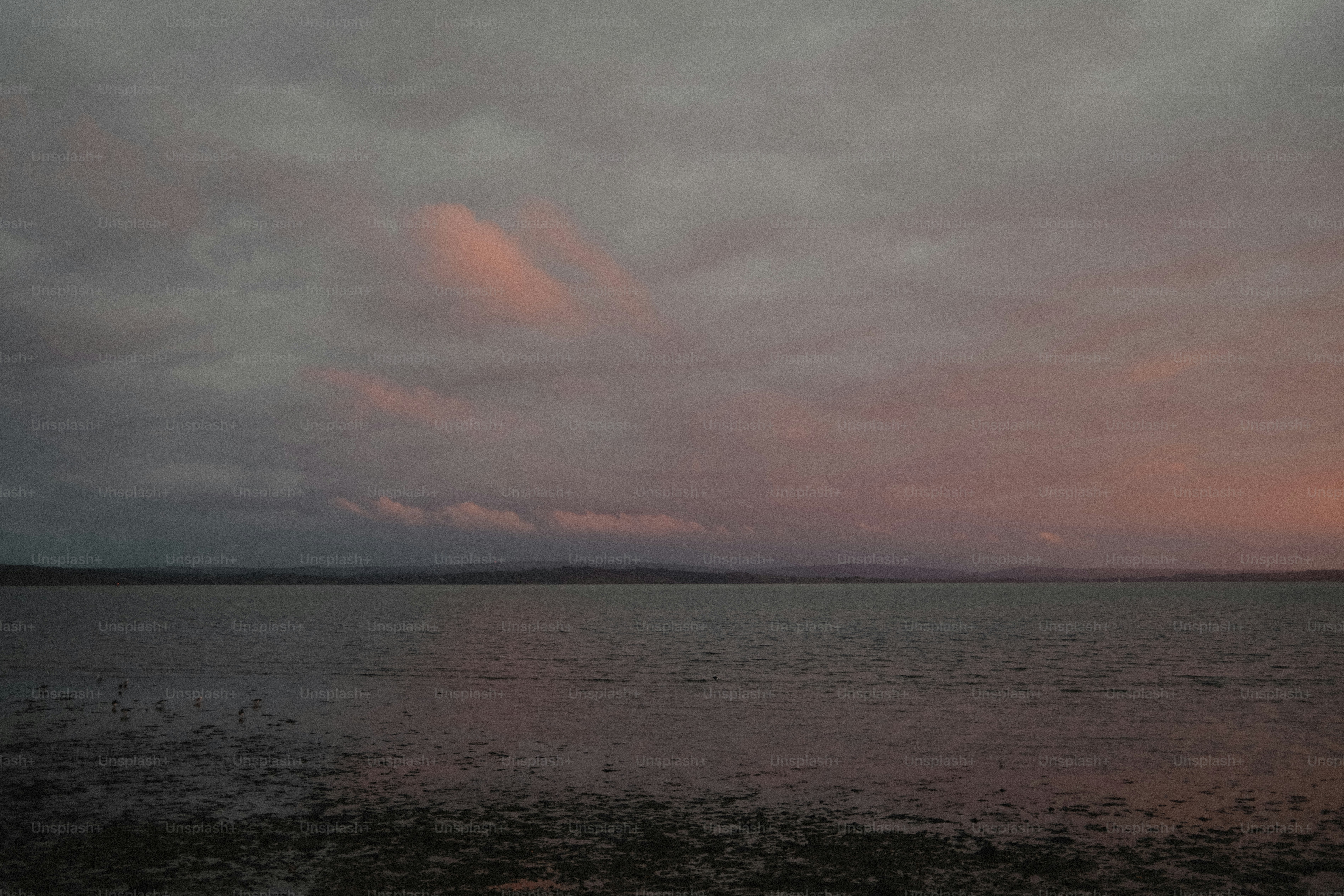 A calm lake under a cloudy sky with soft pink light at the horizon
