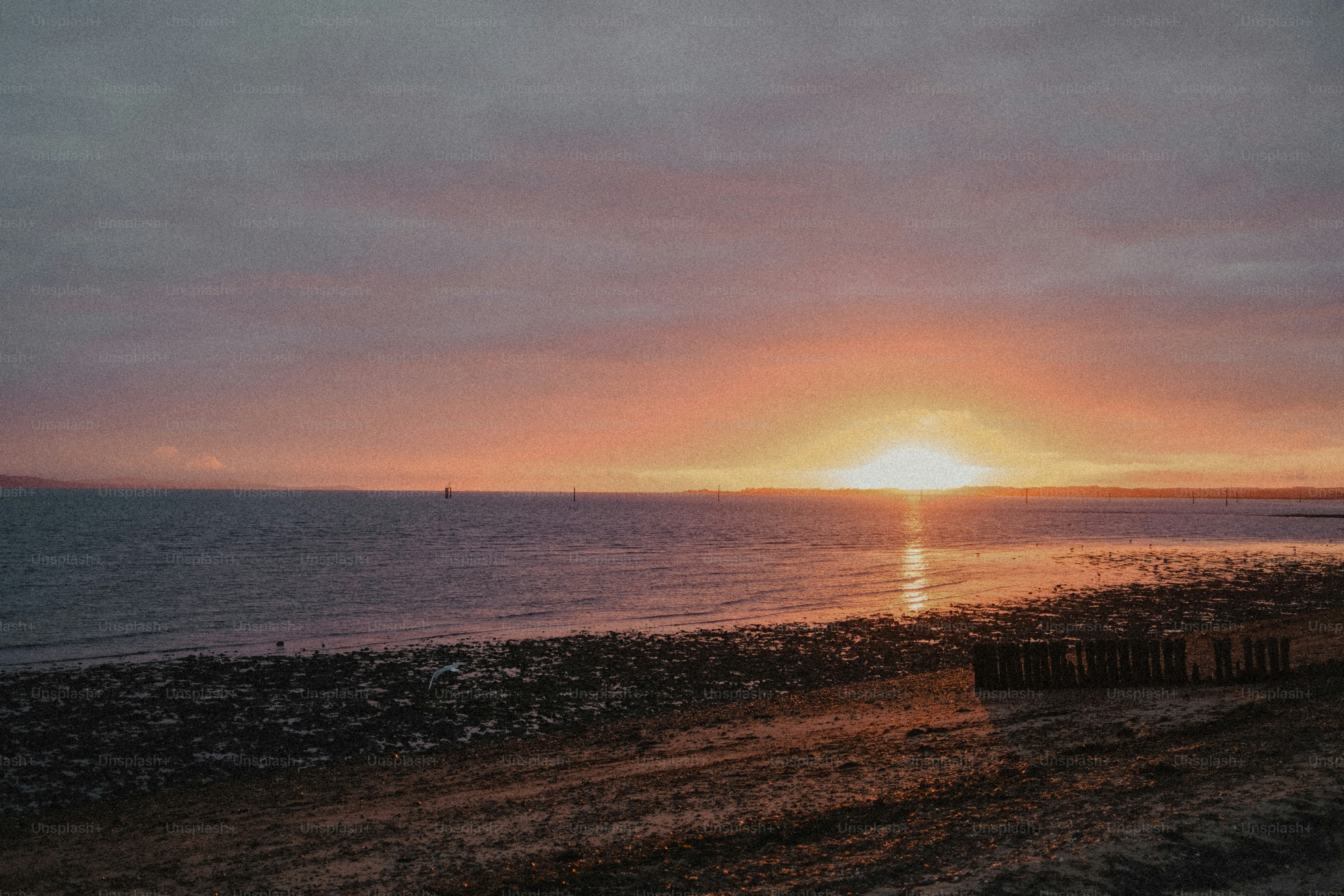 Low sun over a calm sea and a muddy beach with wooden posts