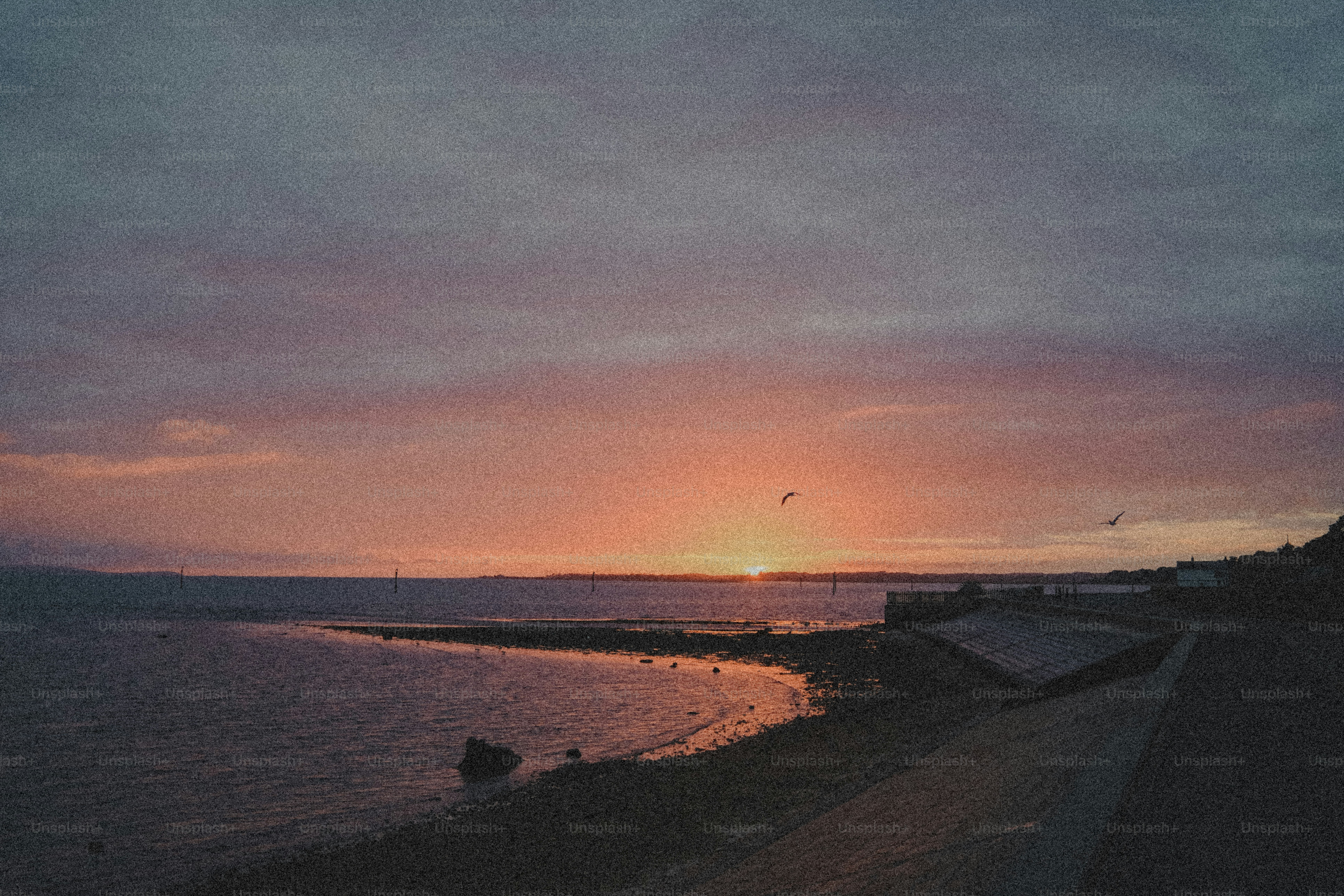 Low sun over a calm bay with a stone embankment and birds in flight