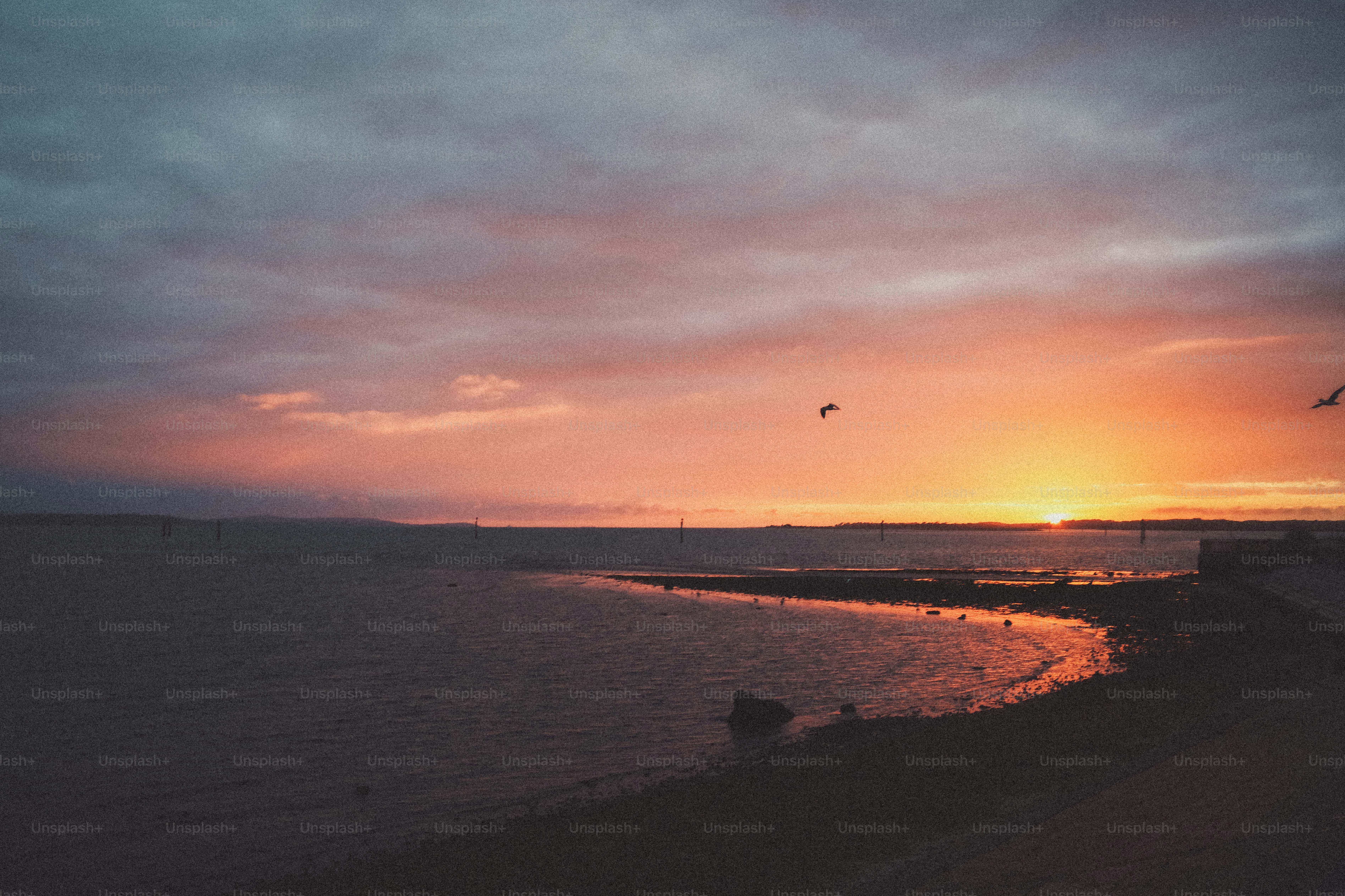 A bird flying over a calm bay during the golden hour with a warm orange sky