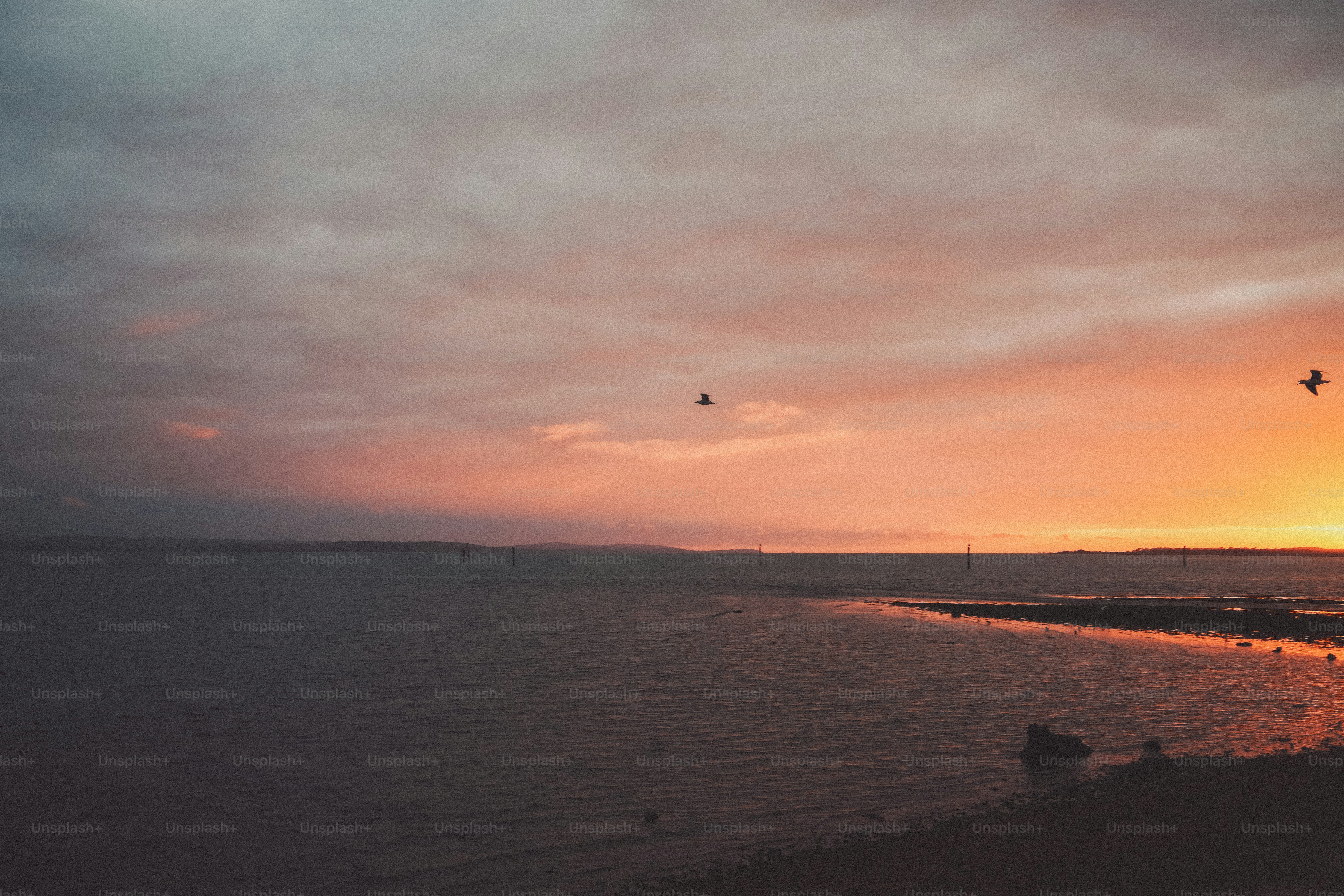 Two birds flying over a calm bay under a warm orange sky