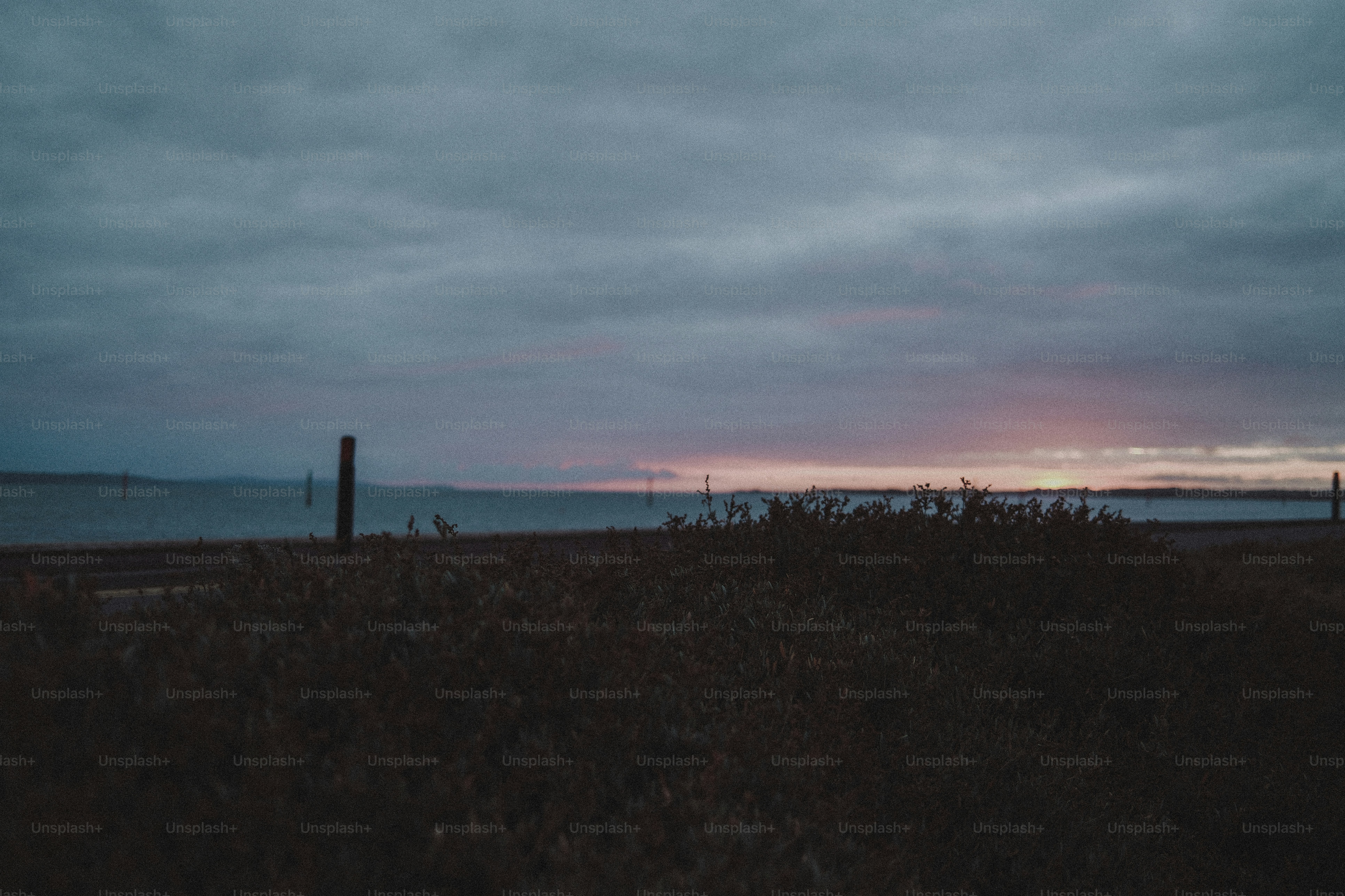 Low sun over calm sea - Photo on Unsplash+