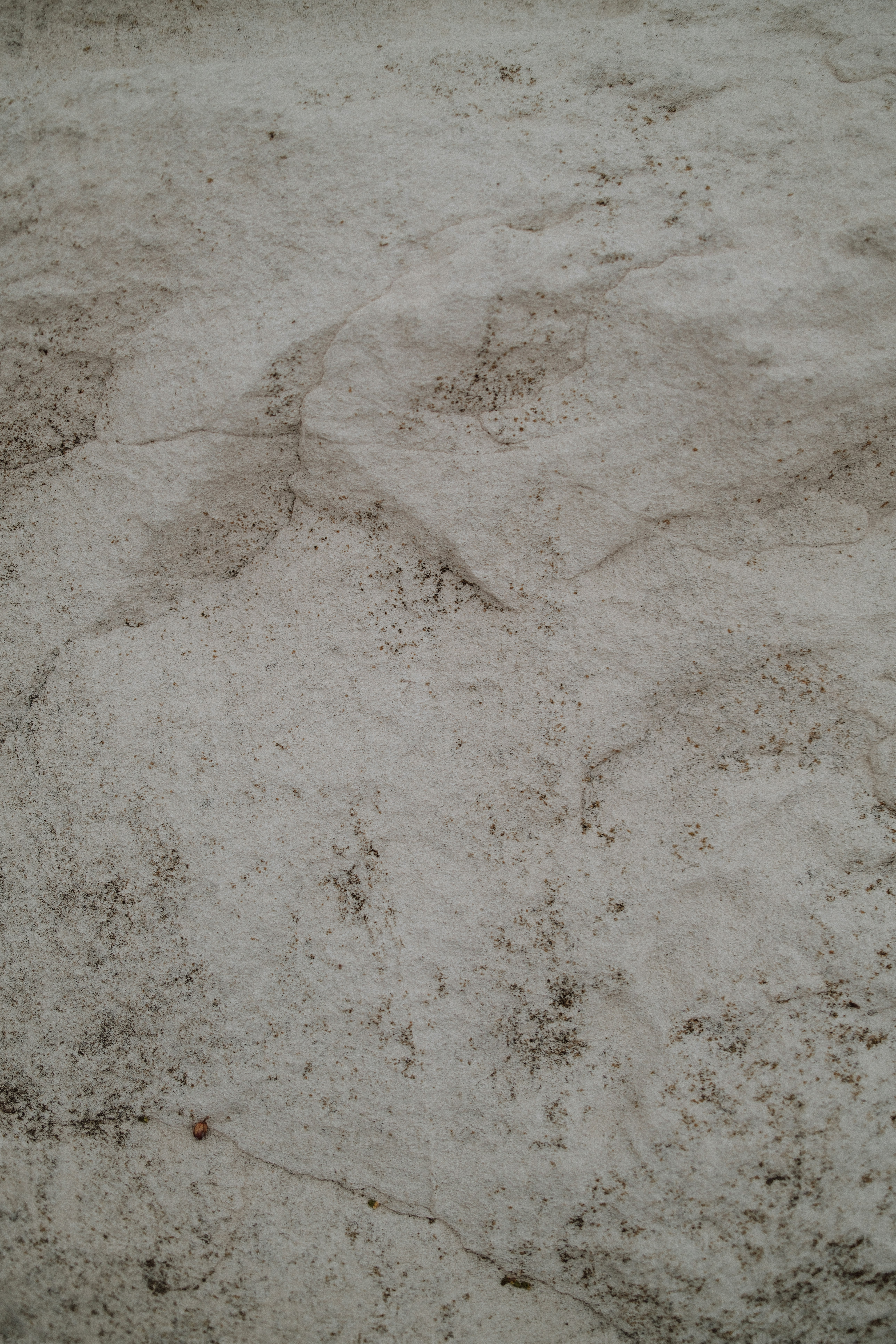 Rough beige stone surface texture - Photo on Unsplash+
