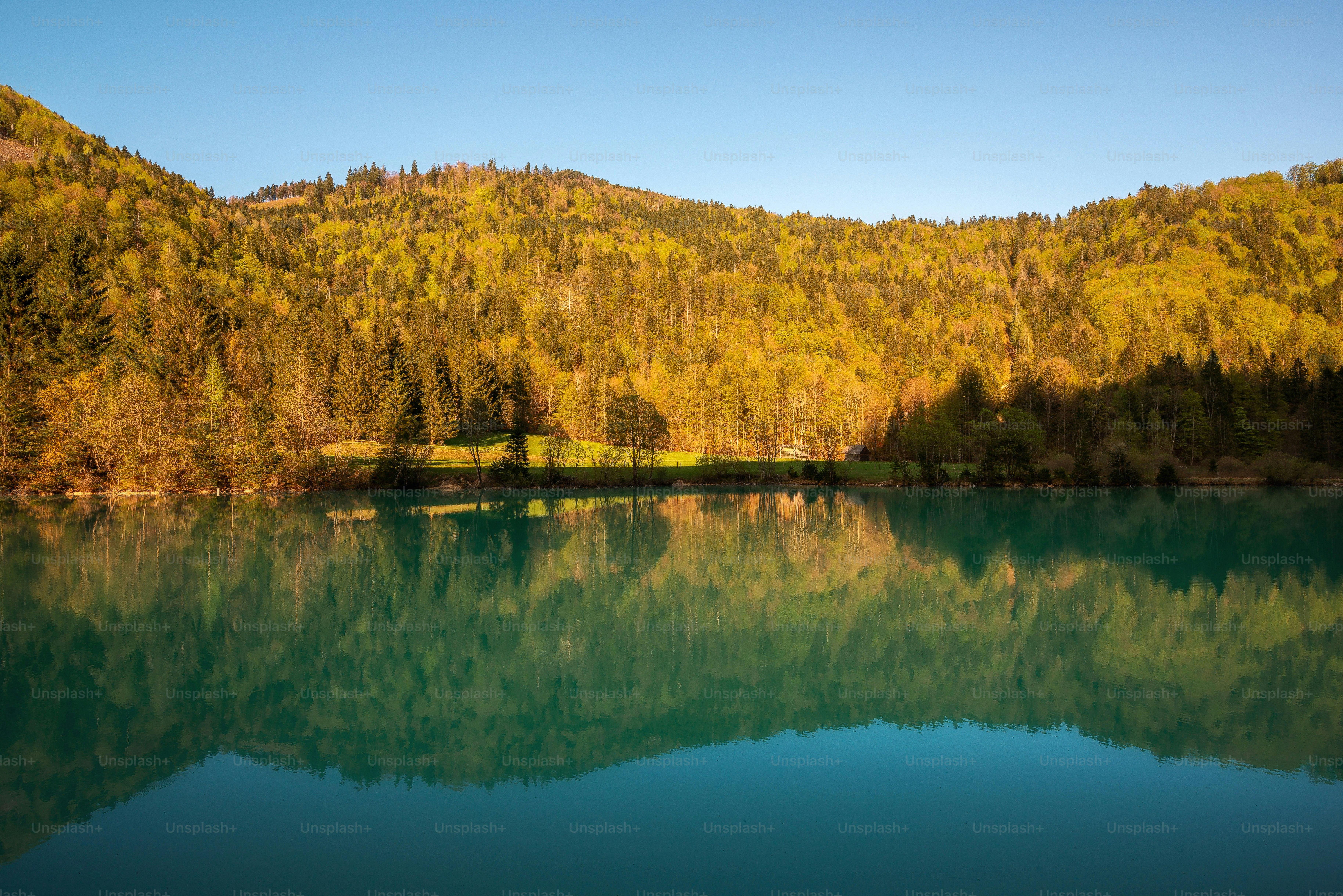 Turquoise lake reflecting forested mountain - Photo on Unsplash+