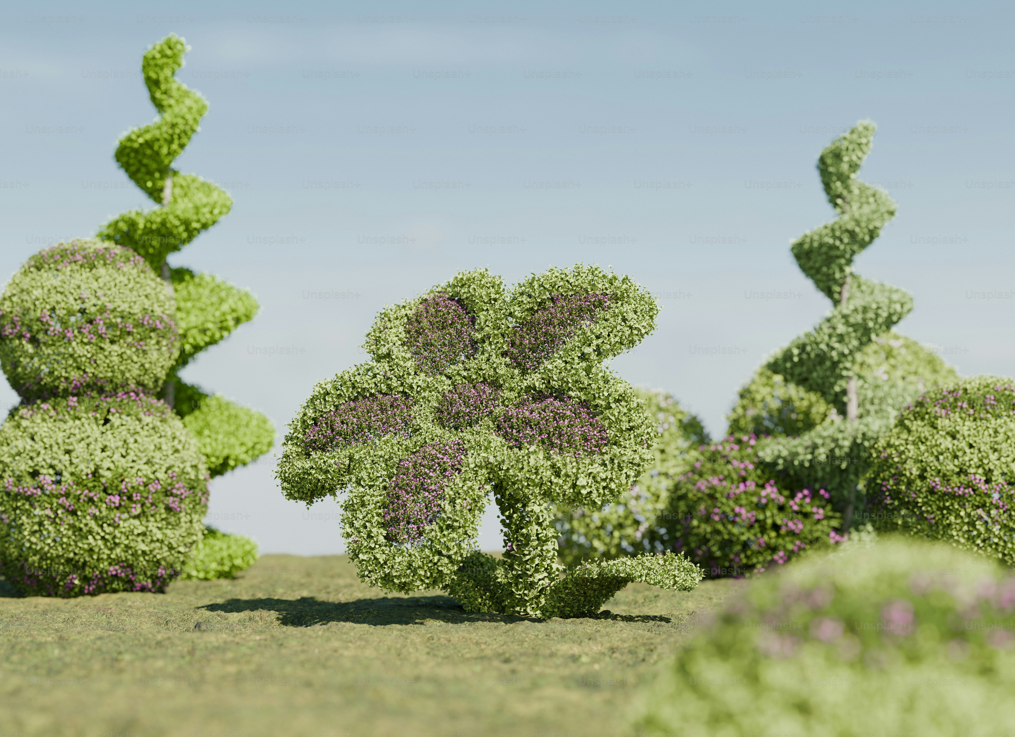 Topiary flower and spiral shrubs - Photo on Unsplash+
