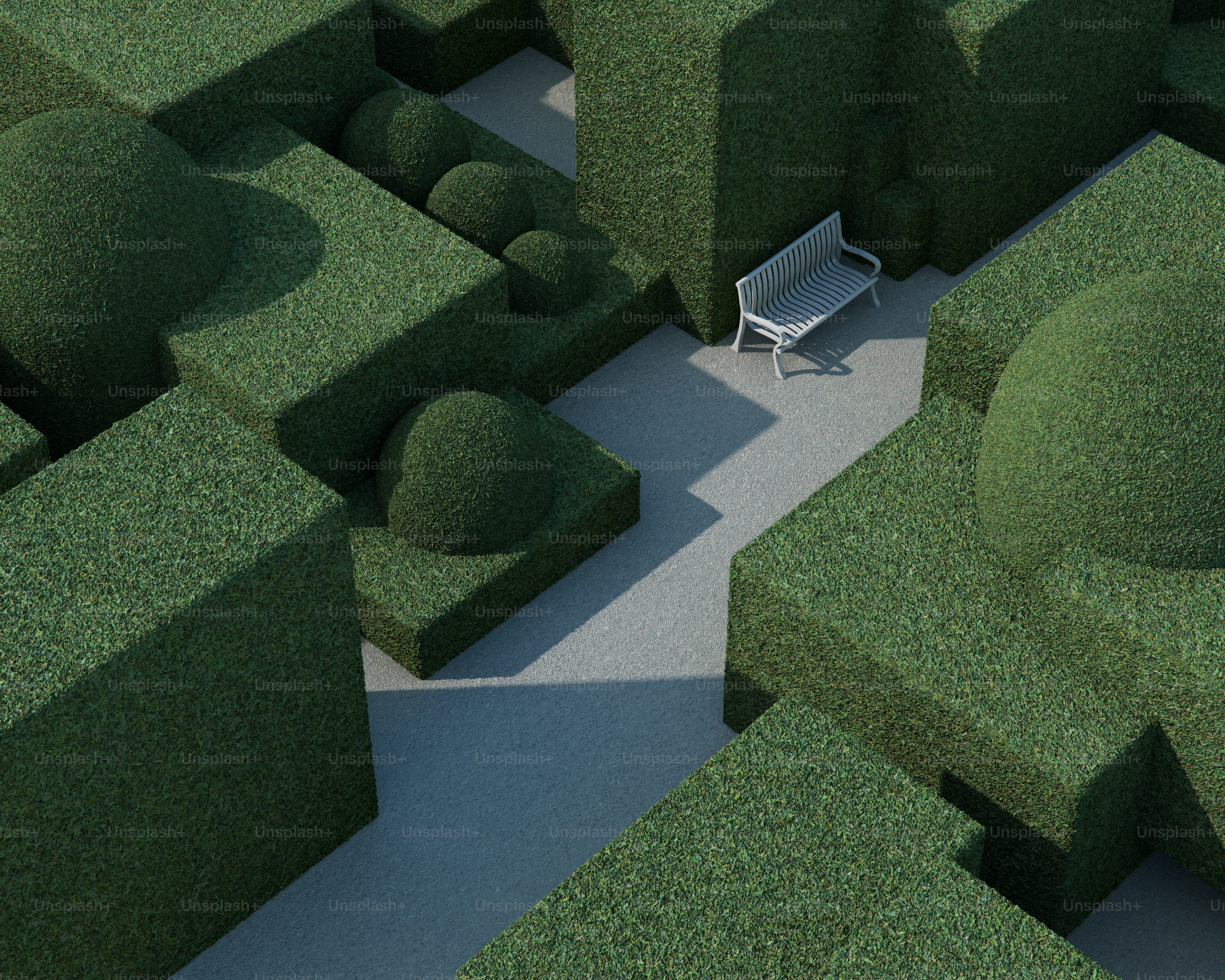 White bench in topiary maze - Photo on Unsplash+