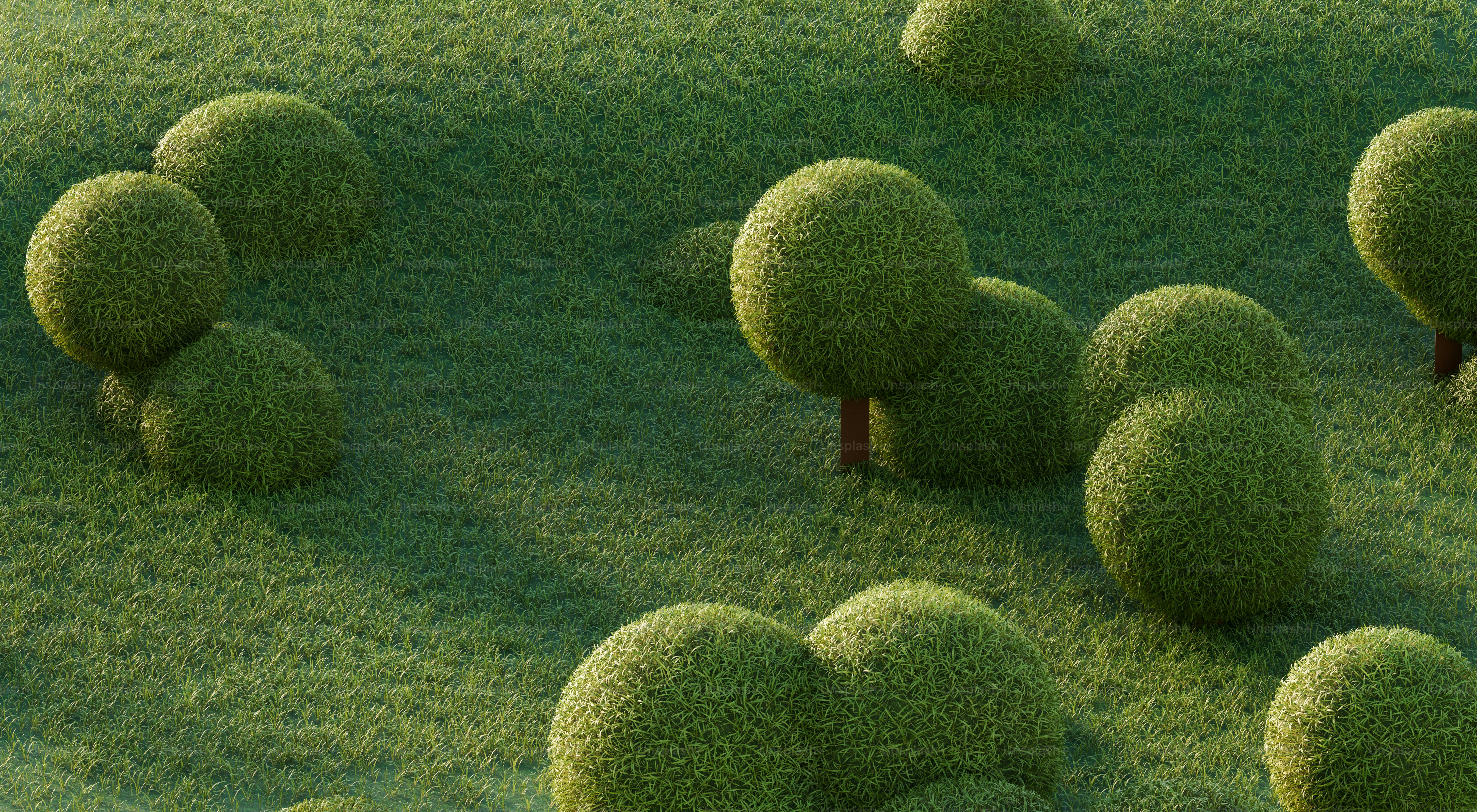 Spherical green trees on grassy landscape - Photo on Unsplash+