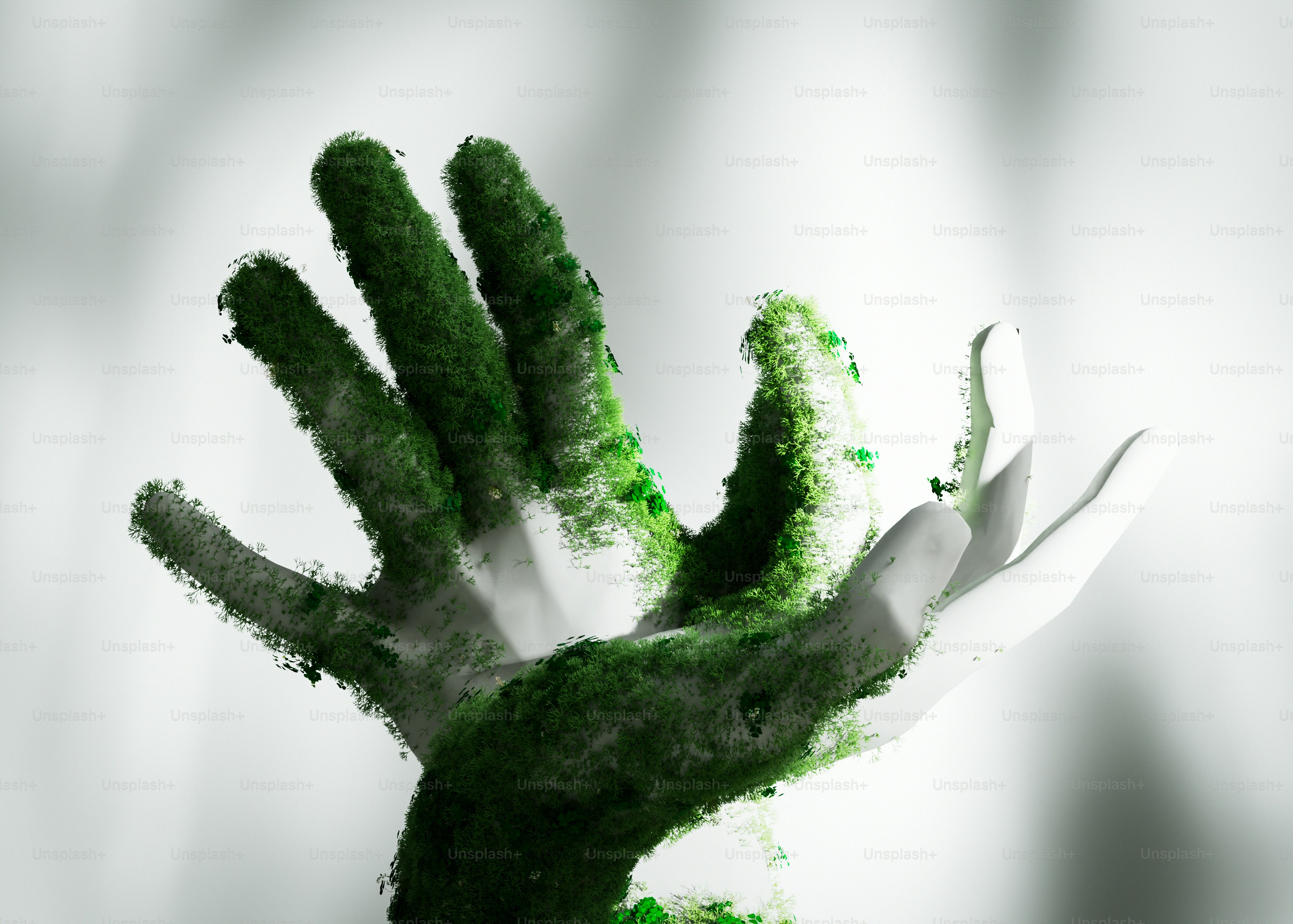 White hand covered in green moss - Photo on Unsplash+