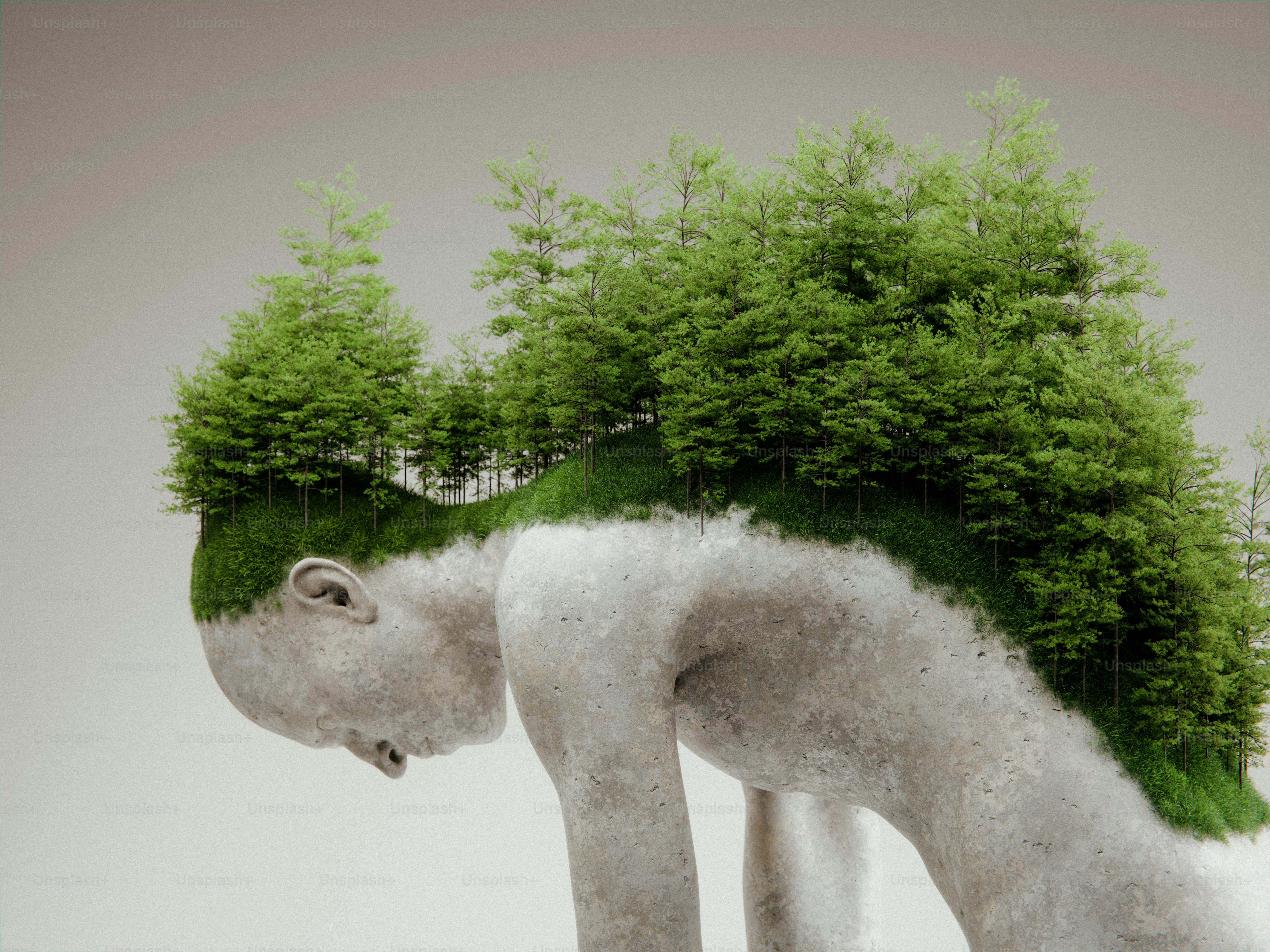 Stone figure with forest on back - Photo on Unsplash+