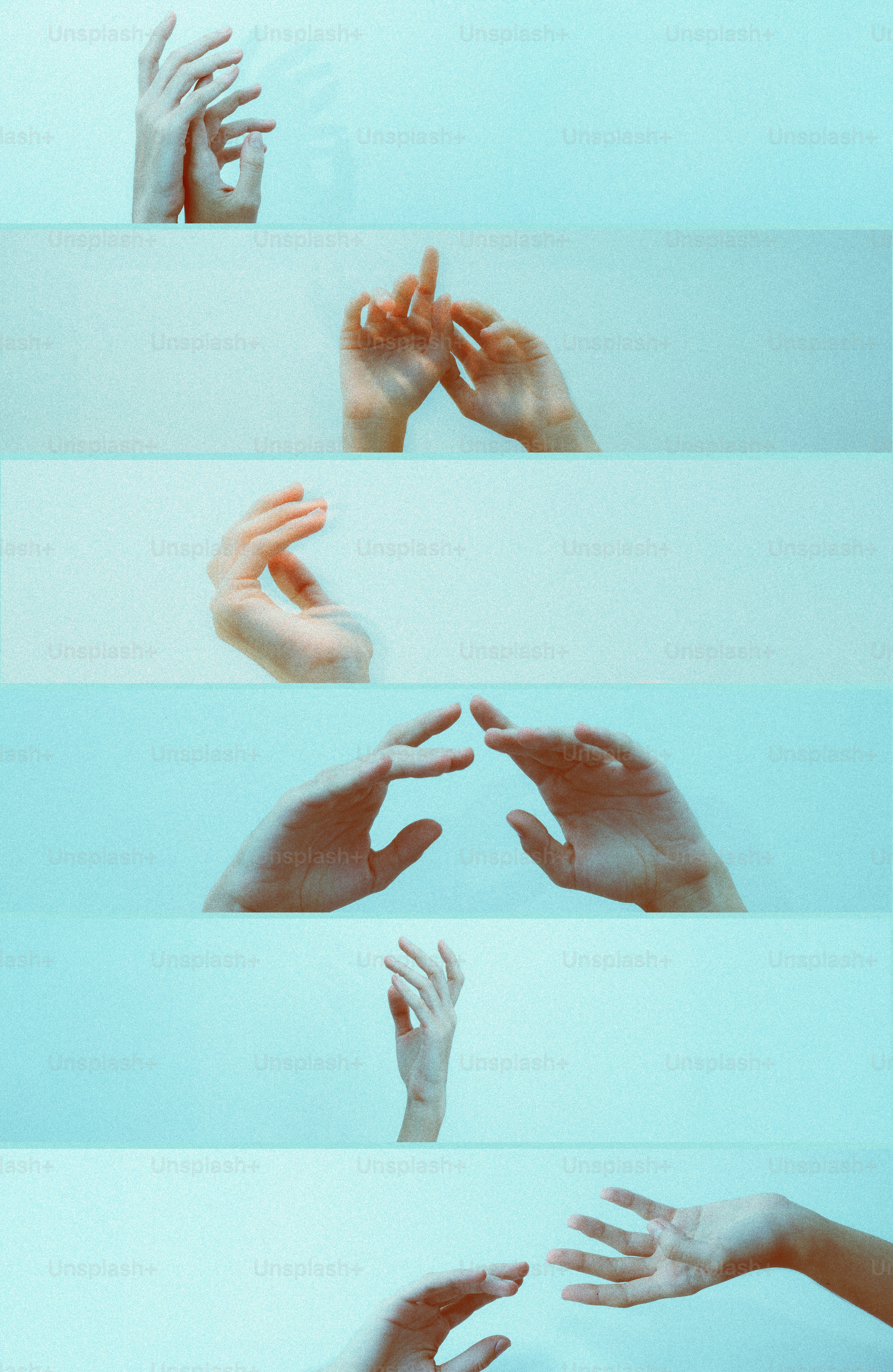 Collage of expressive human hands - Photo on Unsplash+