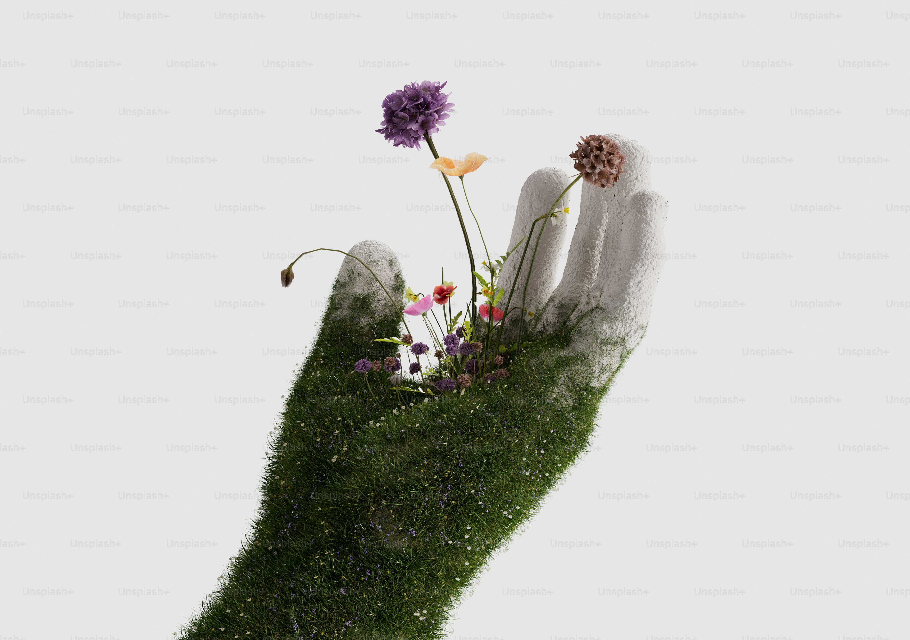 Grass covered hand holding wildflowers - Photo on Unsplash+