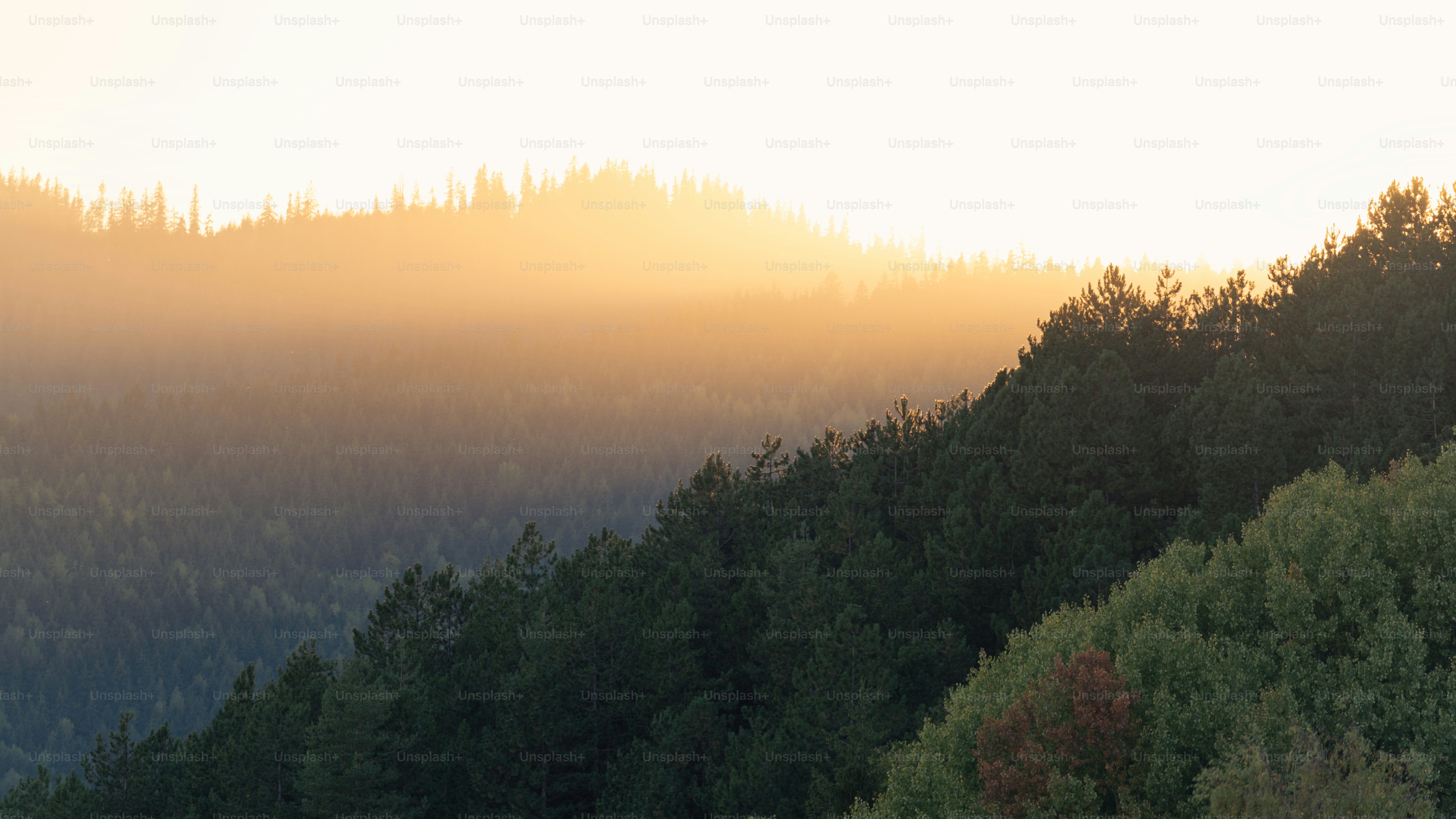 Montagnes Cozia et formation rocheuse de Bulz - Photo sur Unsplash+