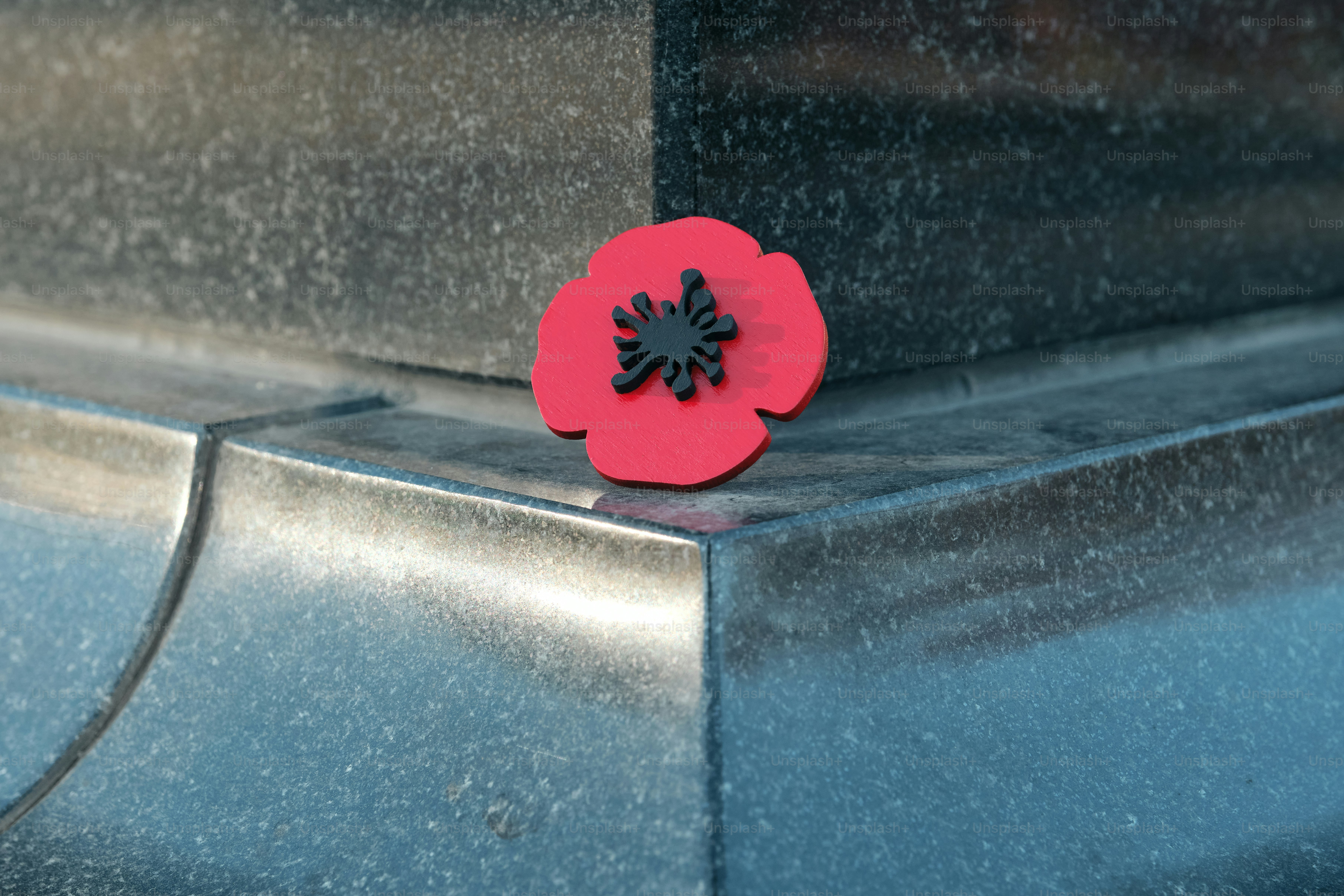 Red remembrance poppies on stone monument - Photo on Unsplash+