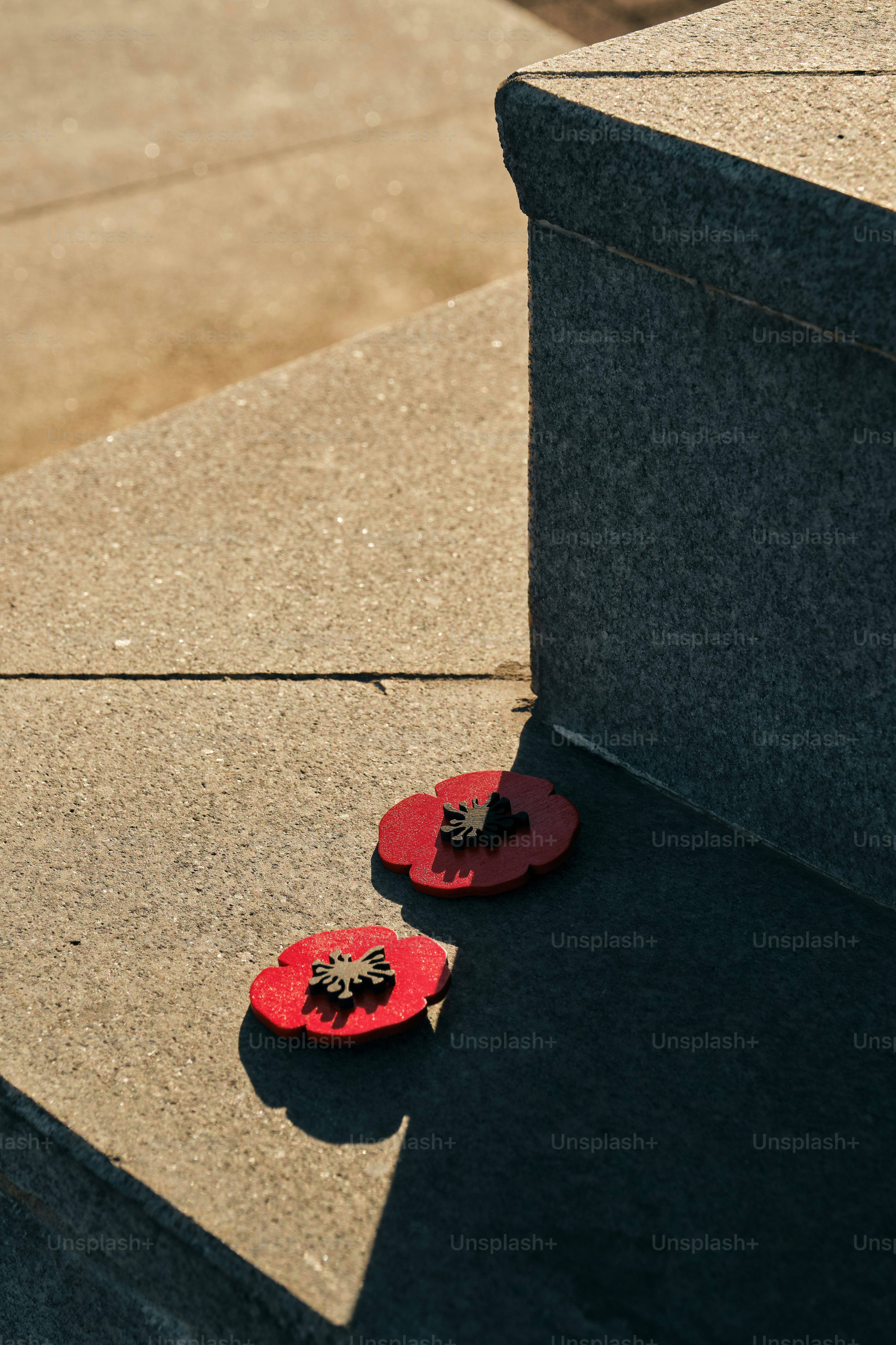 Red remembrance poppies on stone monument - Photo on Unsplash+