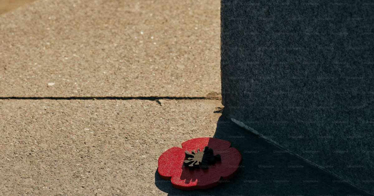 Red Day Sign Red remembrance poppies on stone monument - Photo on Unsplash+