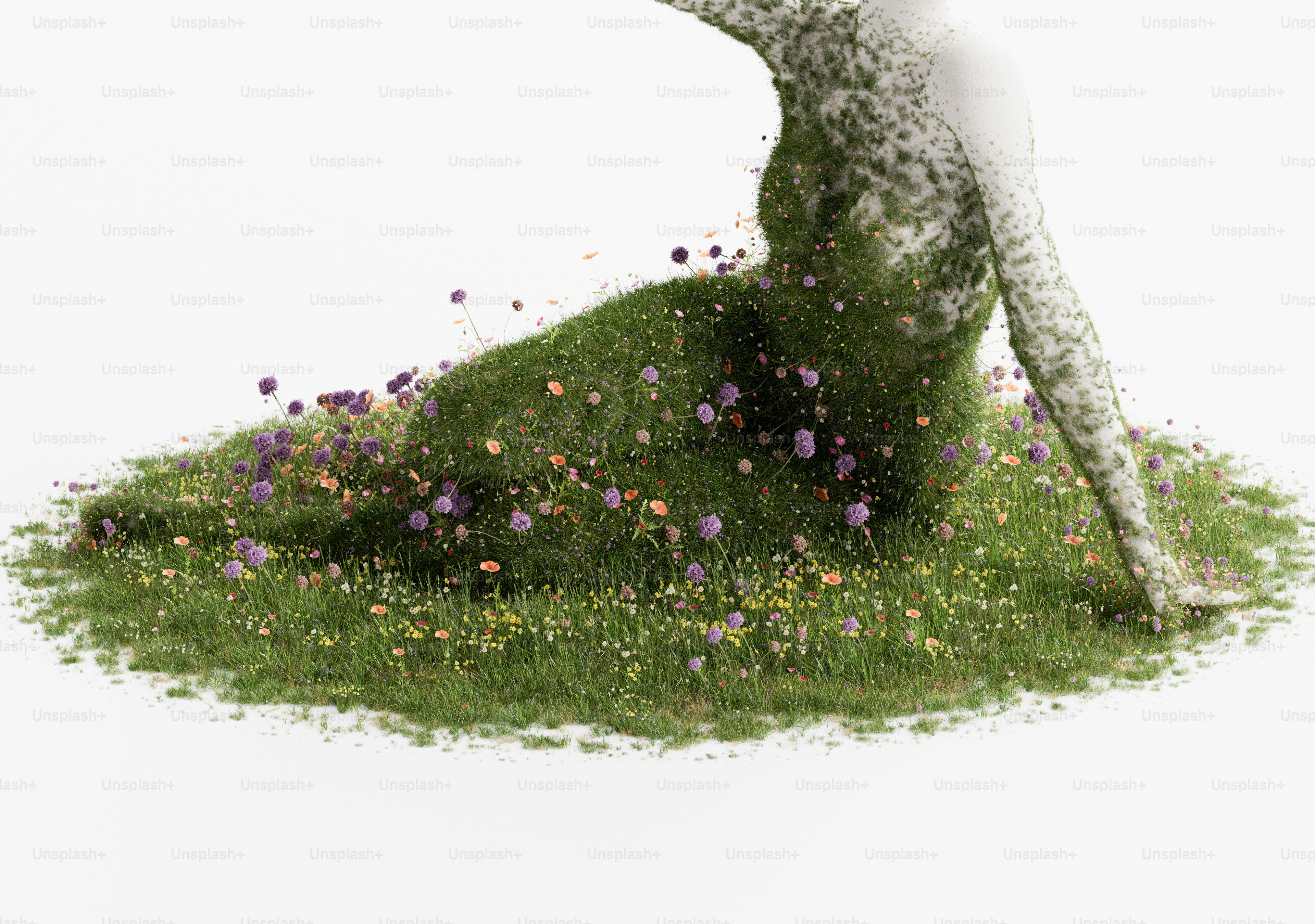 Human figure covered in mossy wildflowers - Photo on Unsplash+