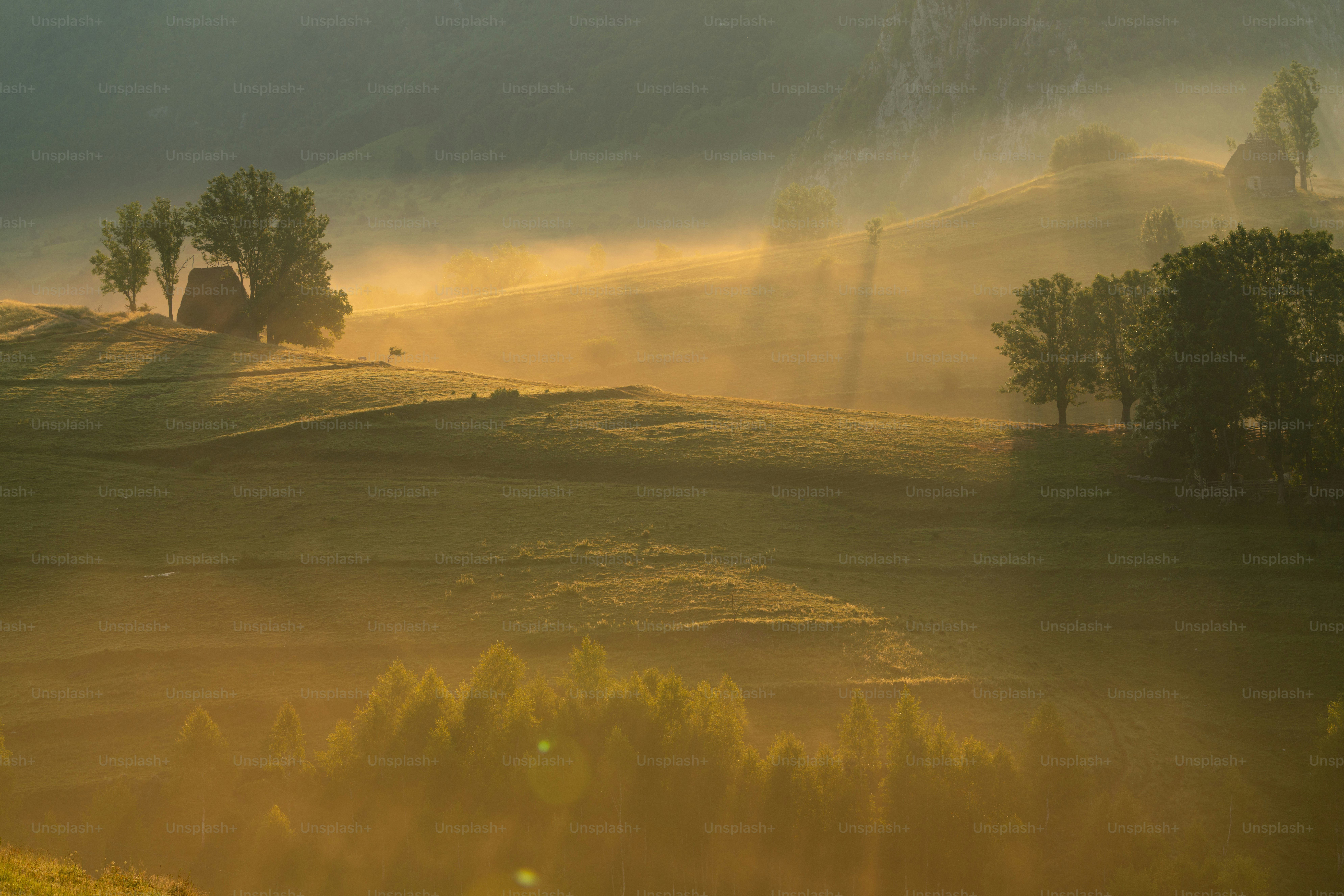 Rolling hills with trees and cabins - Photo on Unsplash+