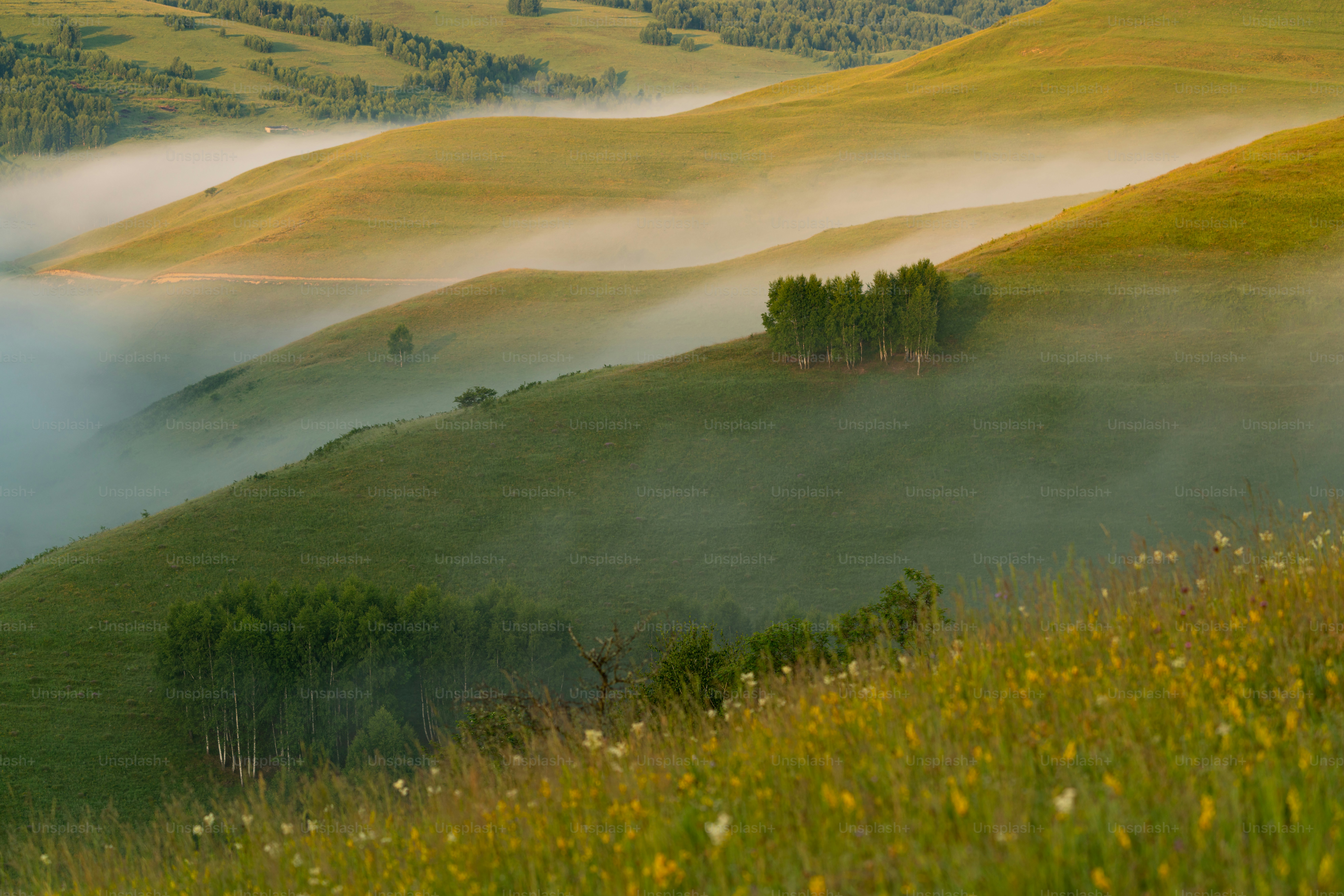 Rolling hills with trees and cabins - Photo on Unsplash+