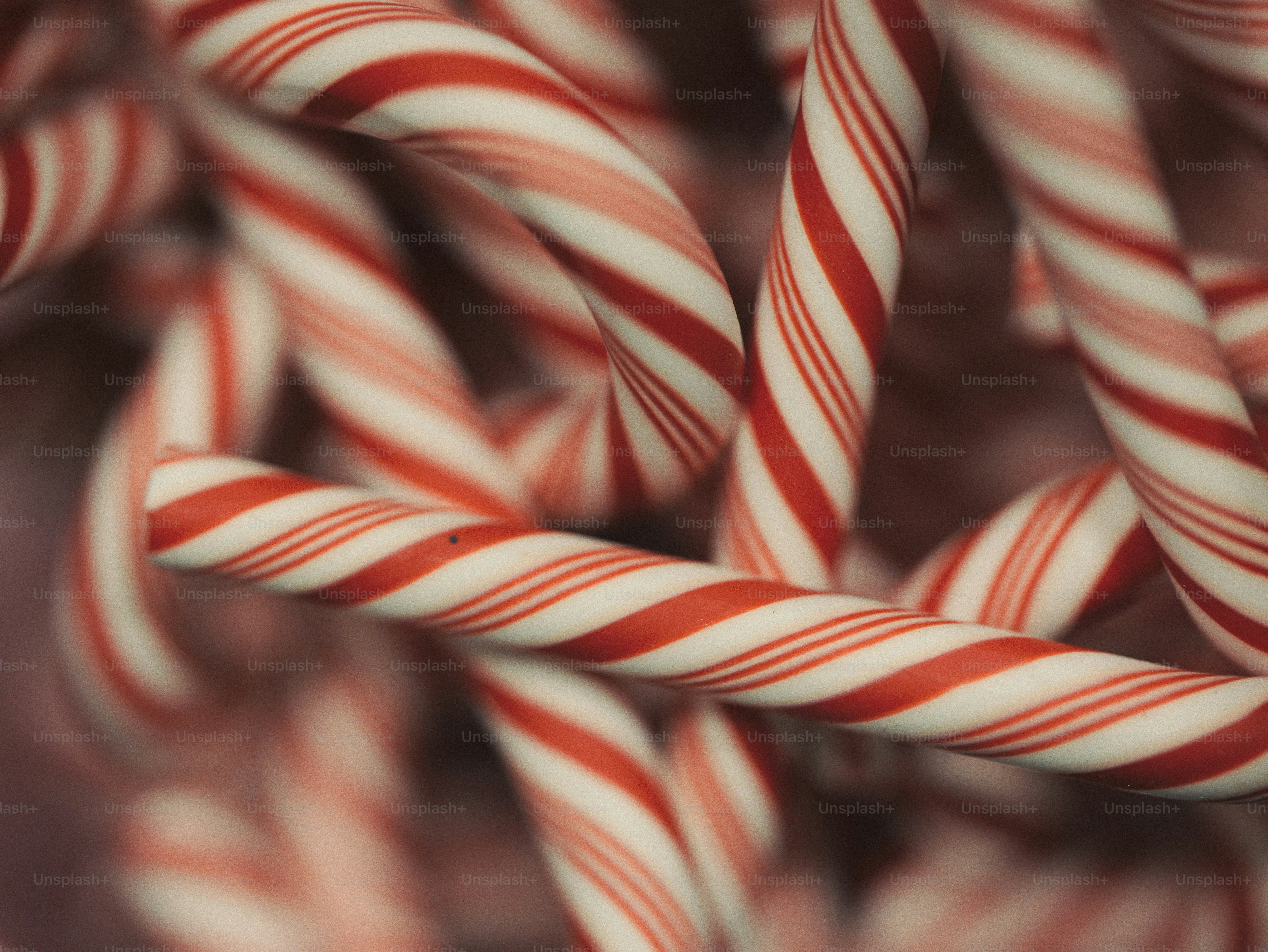 Red and white striped candy canes - Photo on Unsplash+