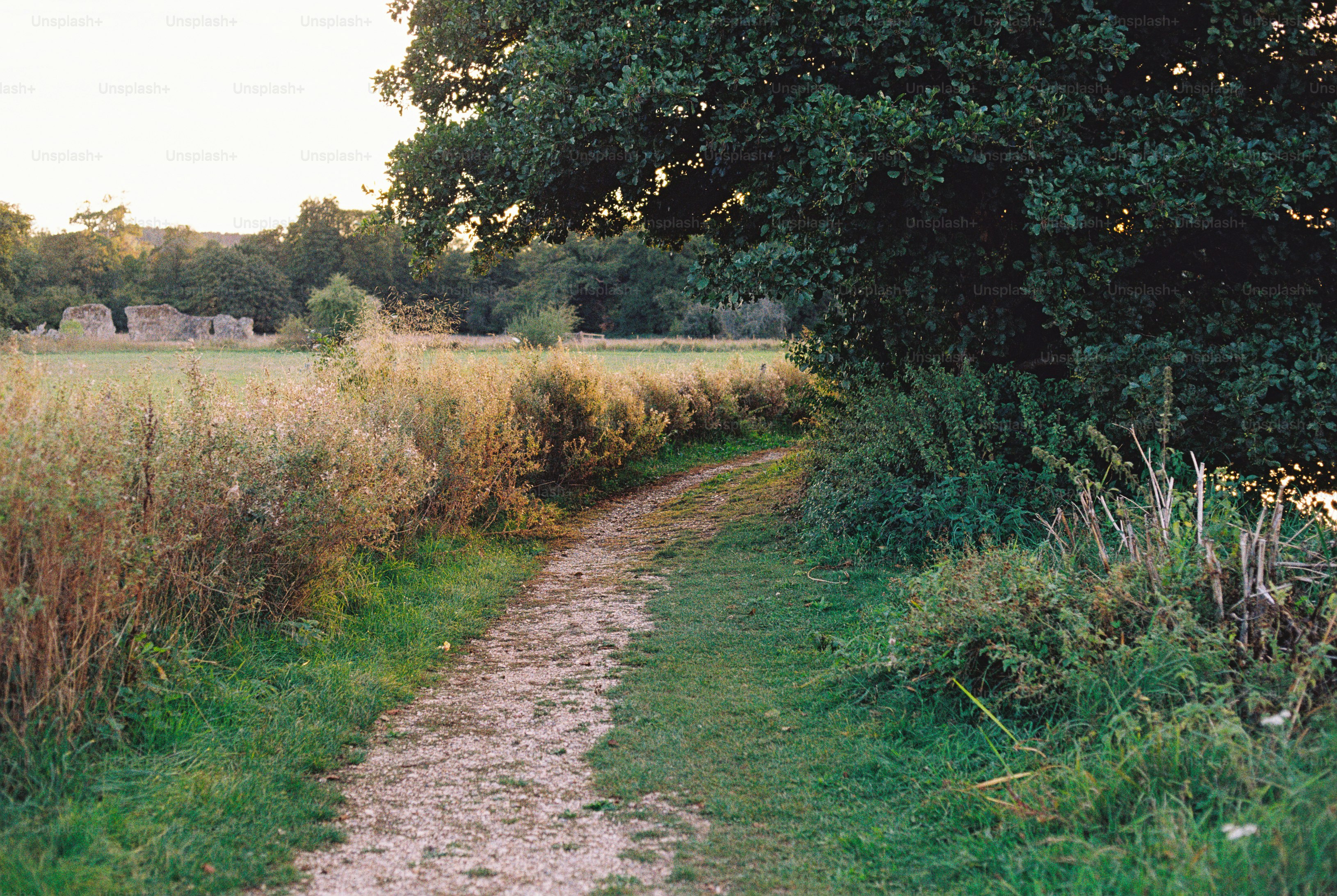 Gravel path through grassy field - Photo on Unsplash+