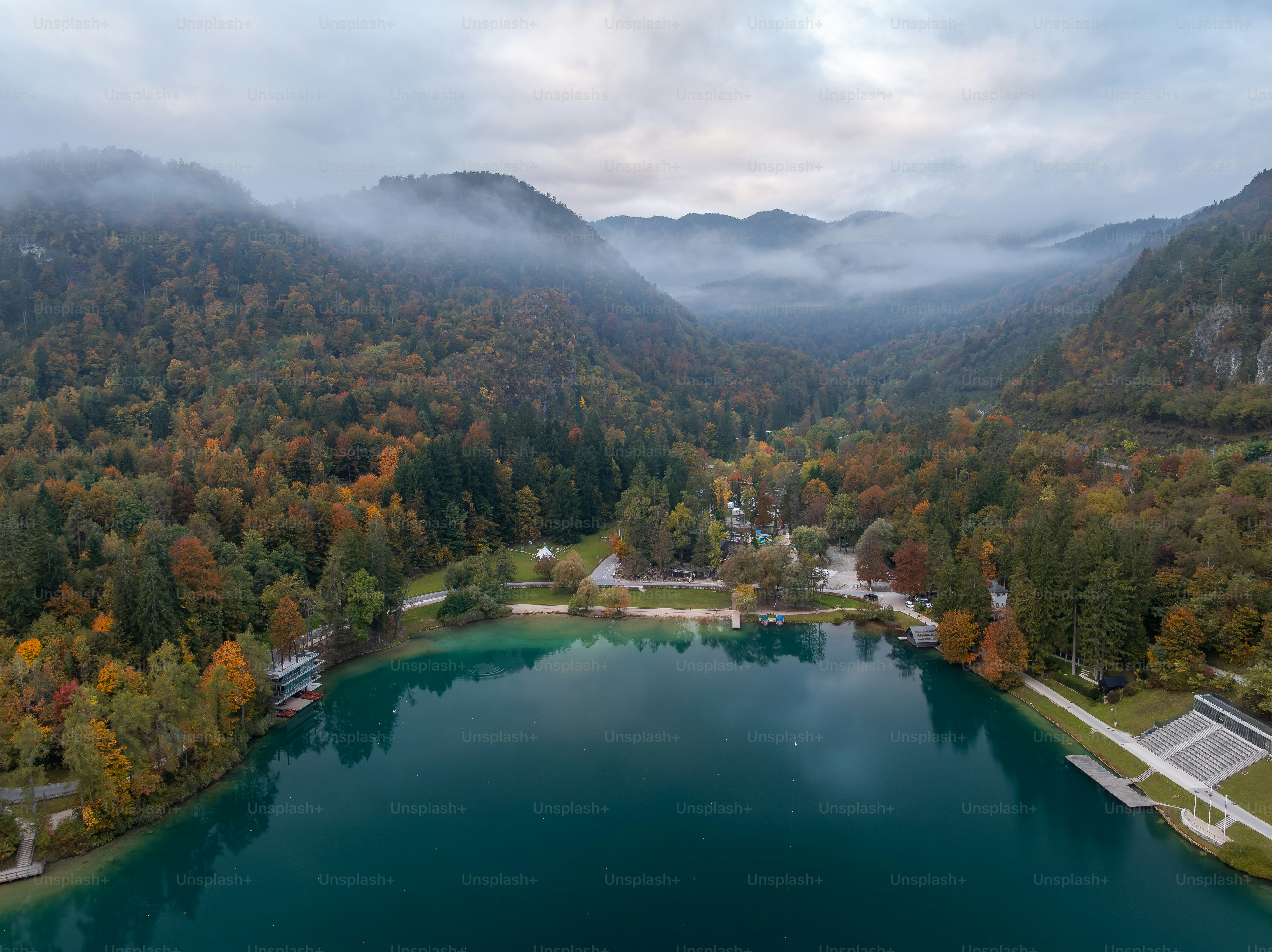 Autumn forest around Lake Bled - Photo on Unsplash+