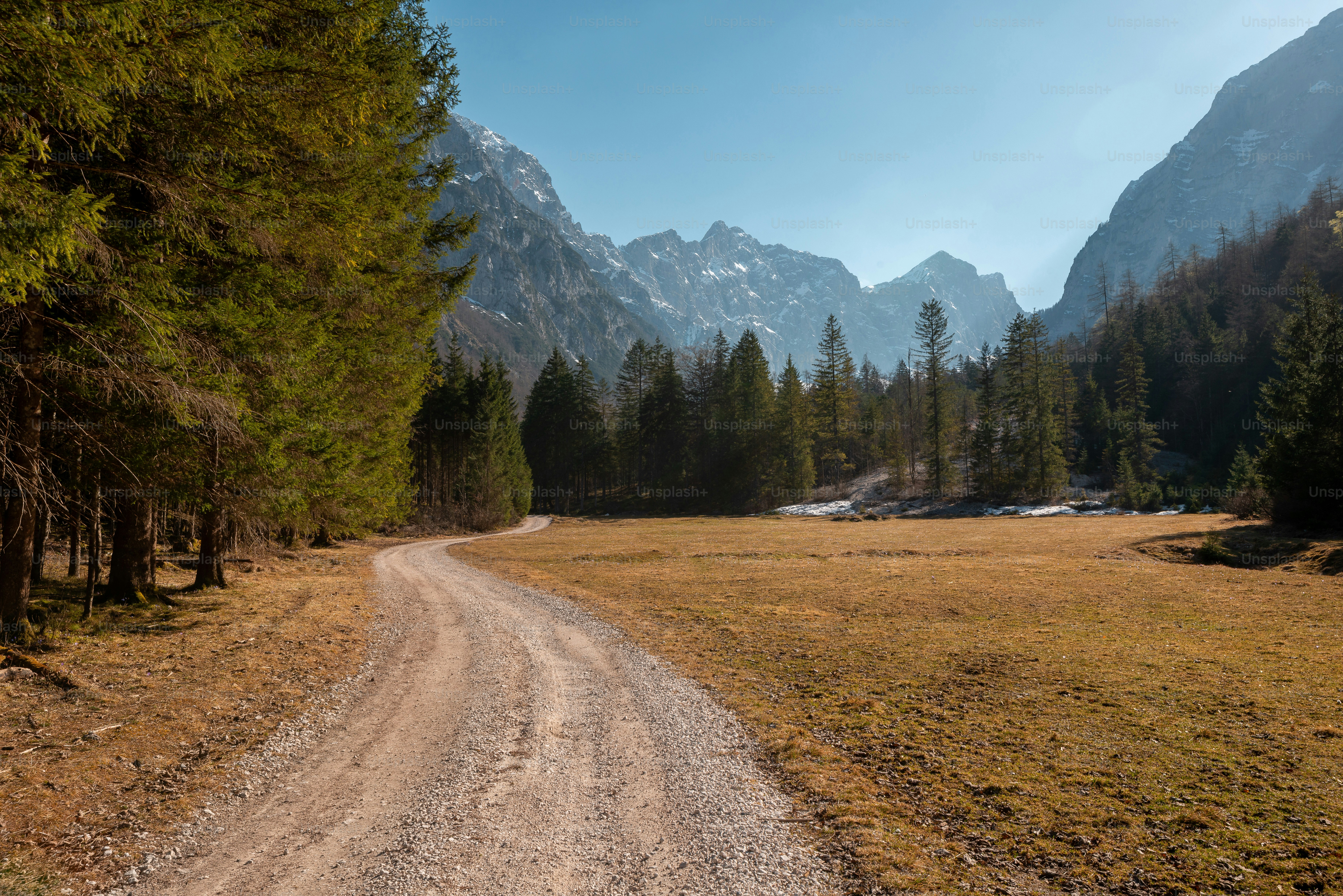 Gravel path toward mountain forest - Photo on Unsplash+