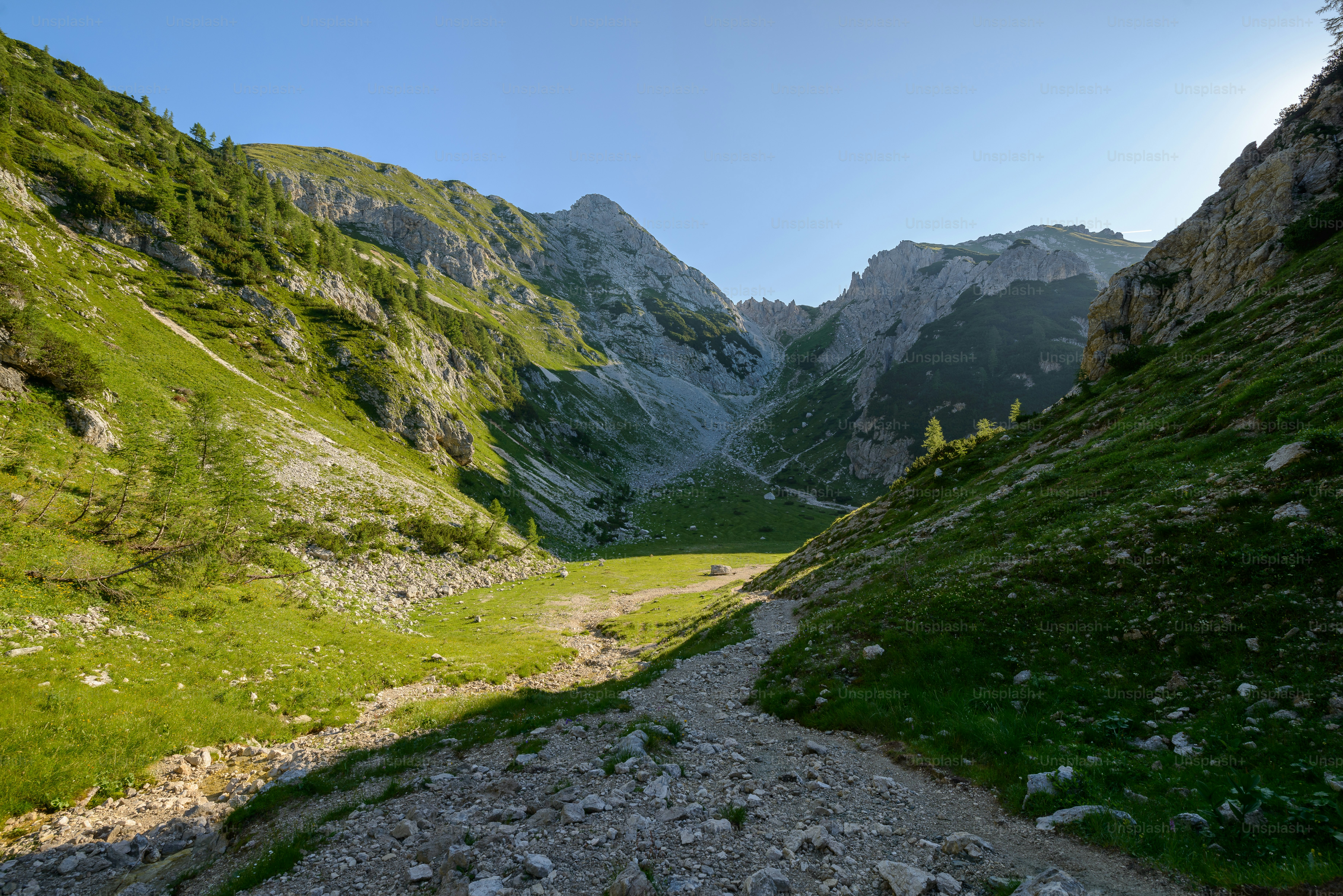 Gravel path toward mountain forest - Photo on Unsplash+