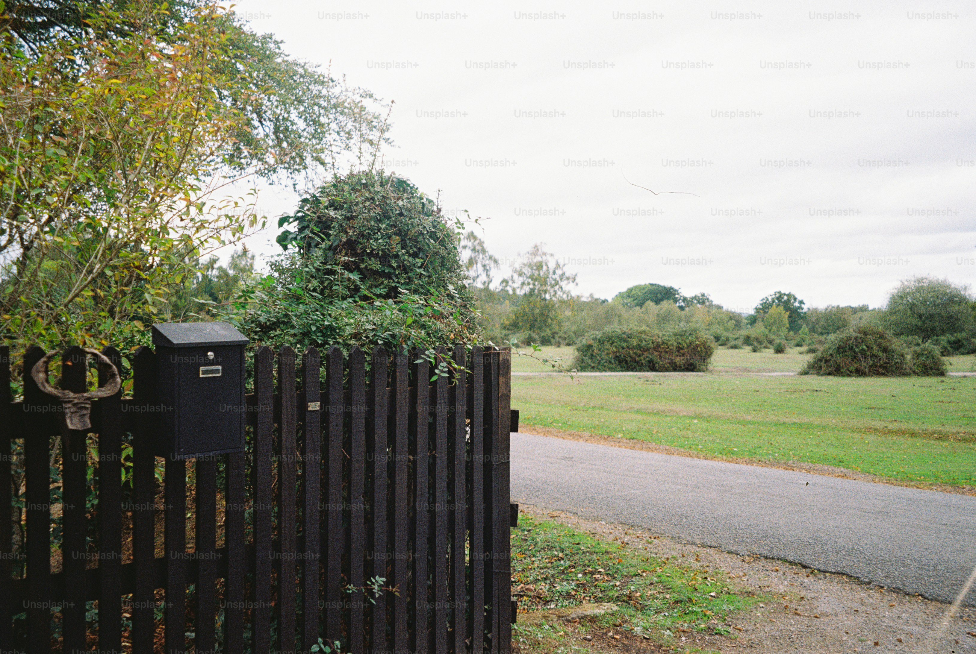 Wooden picket fence by country road - Photo on Unsplash+