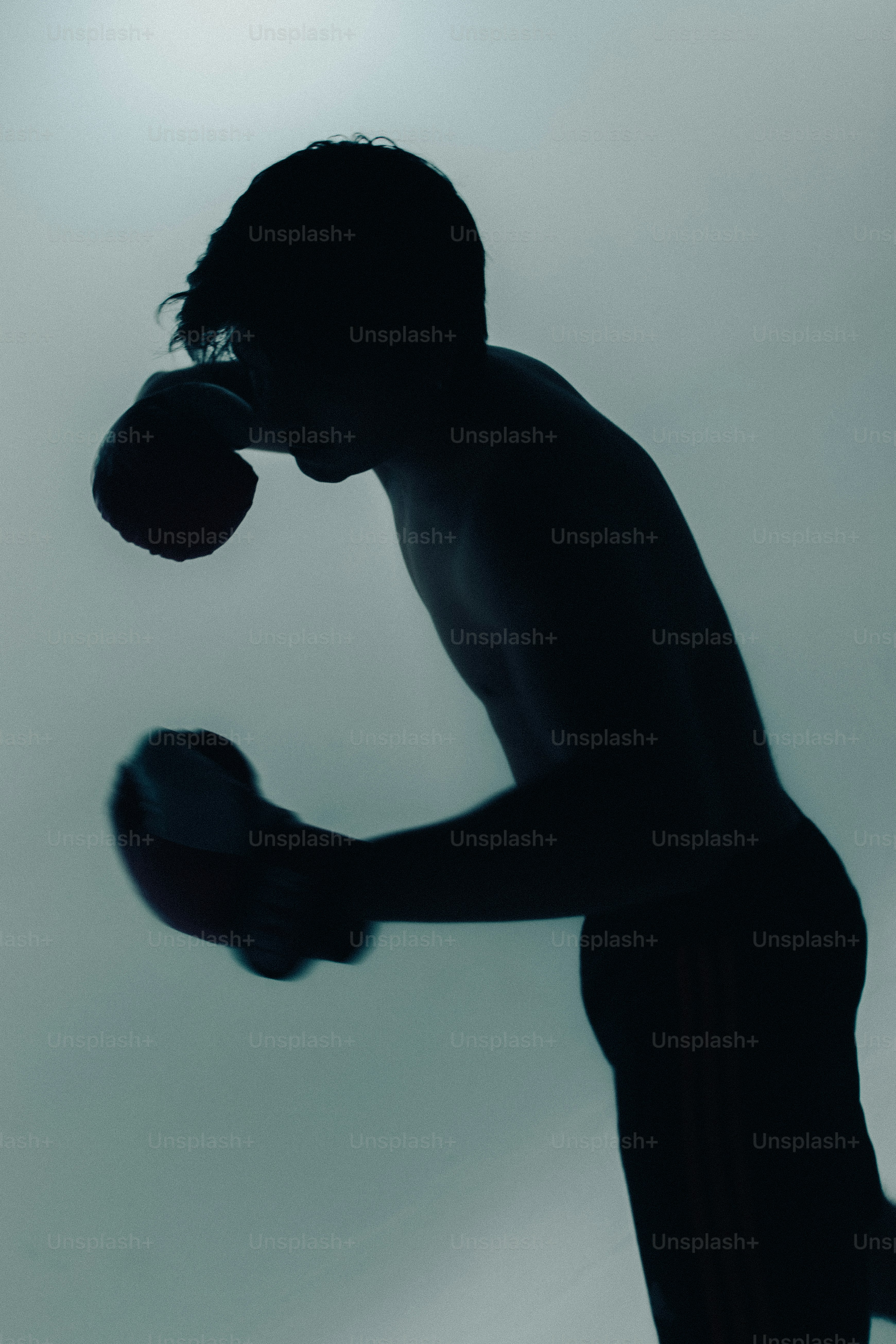 Person in silhouette throwing punch - Photo on Unsplash+